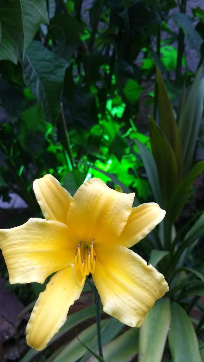 Suites Pico do Cristal