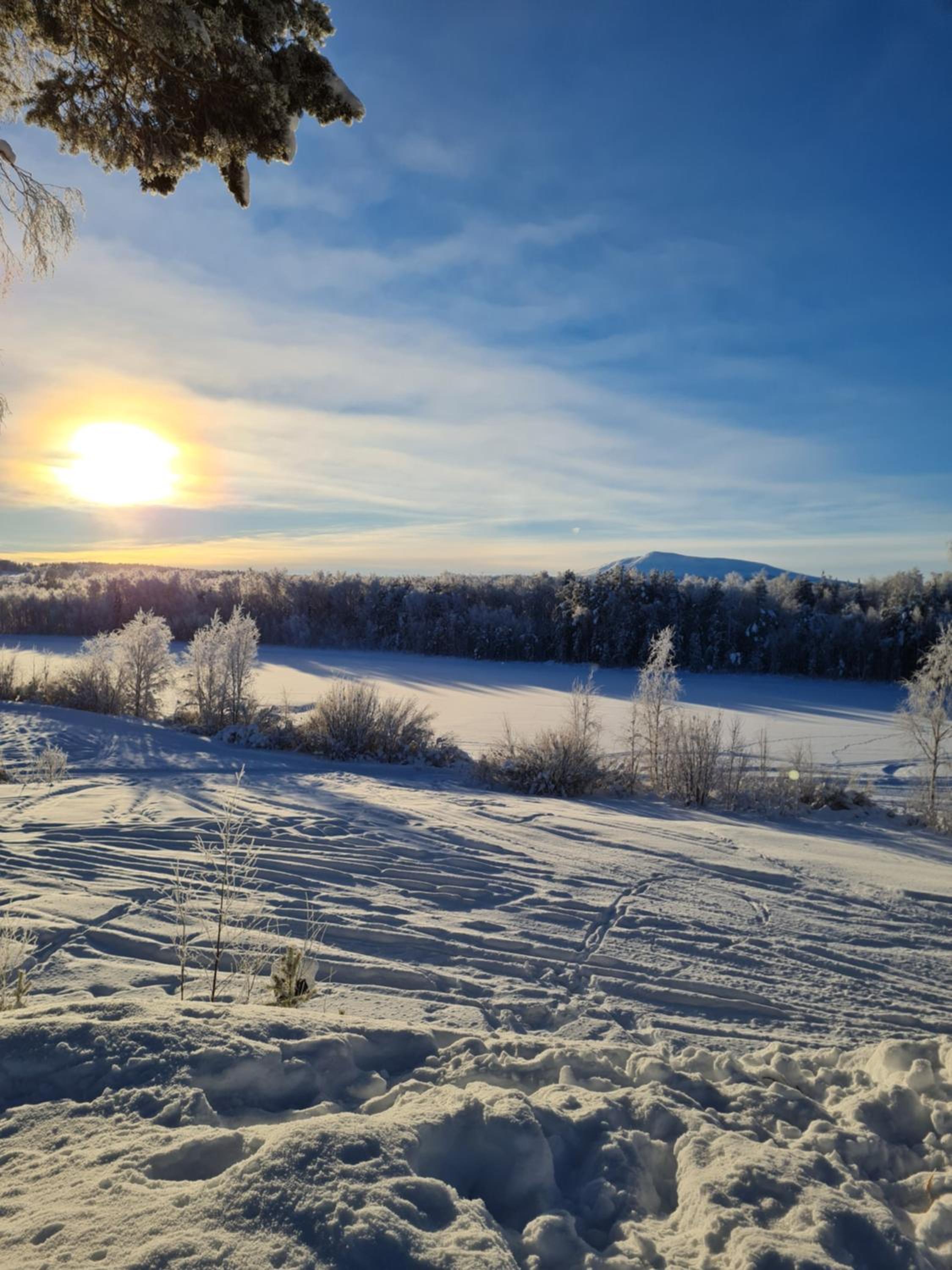 Sonfjällscampen view 3