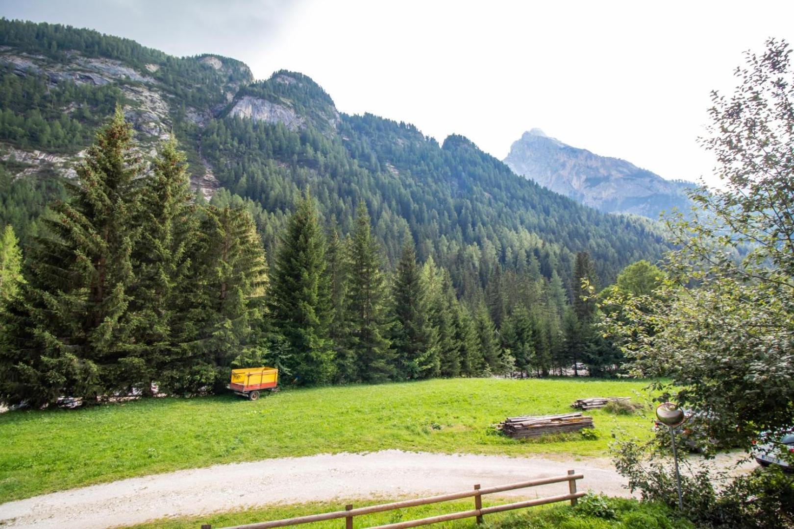 A un passo dagli impianti - Penia di Canazei view 5