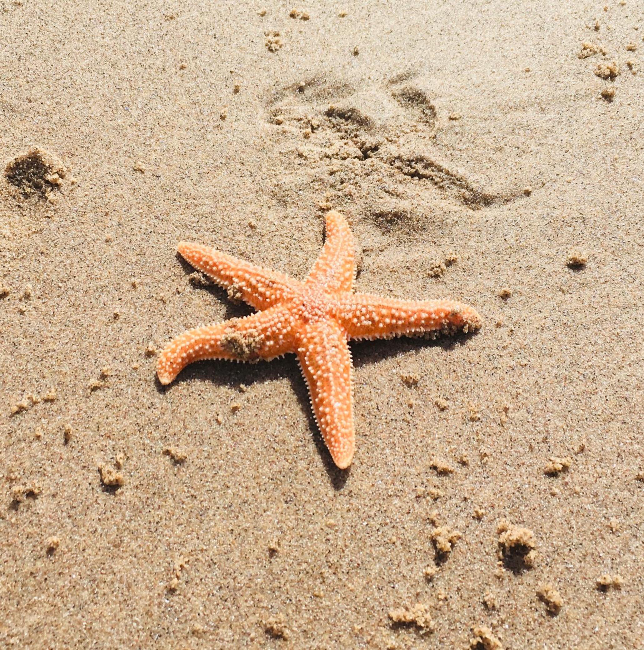 Photo 35