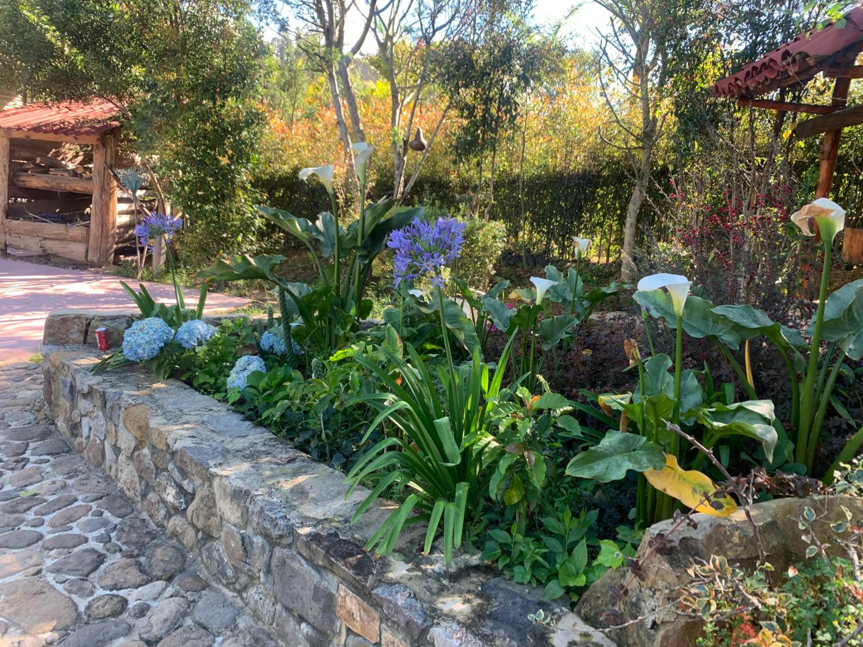 Hotel Campestre mirador CaloPala
