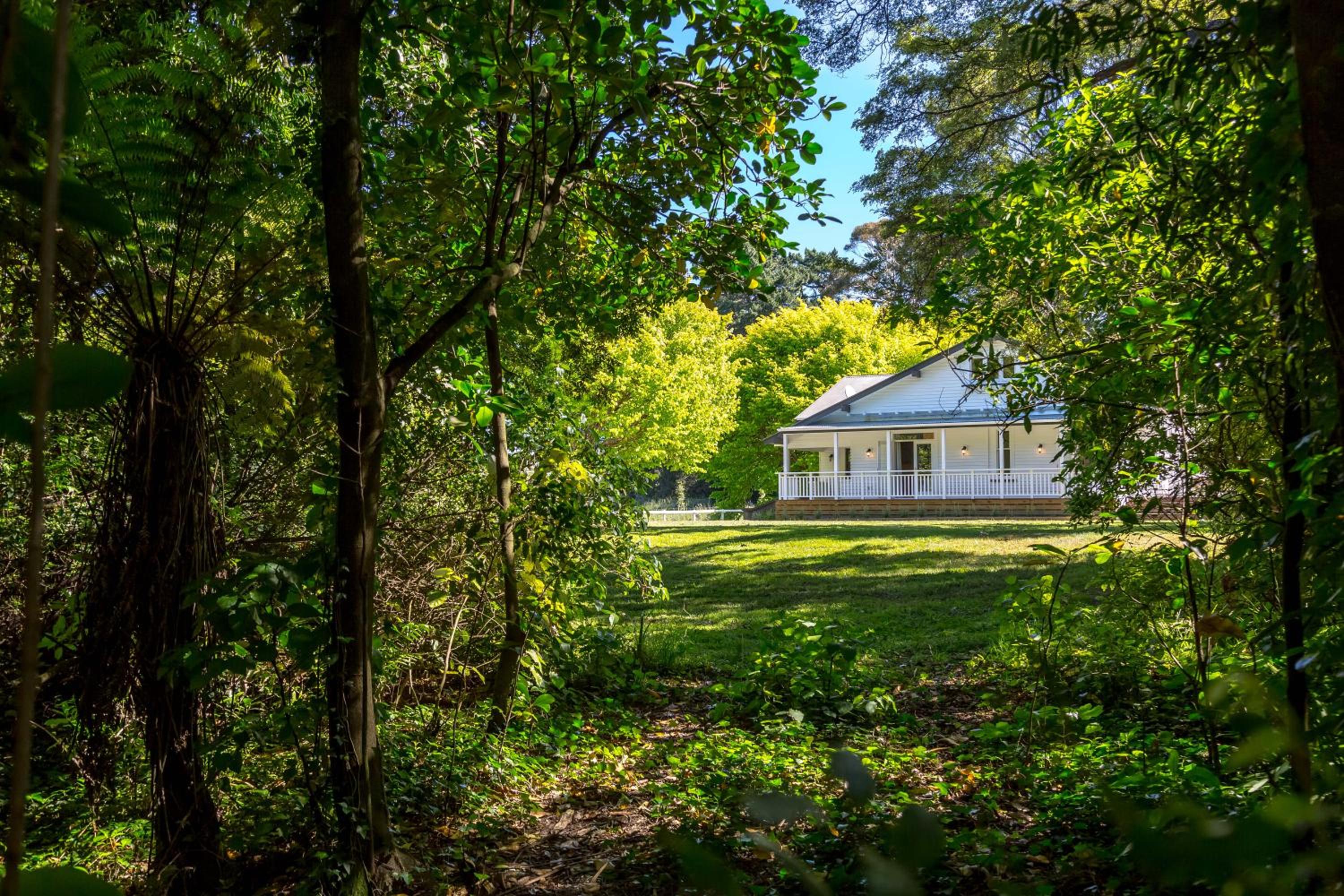 The Forest House