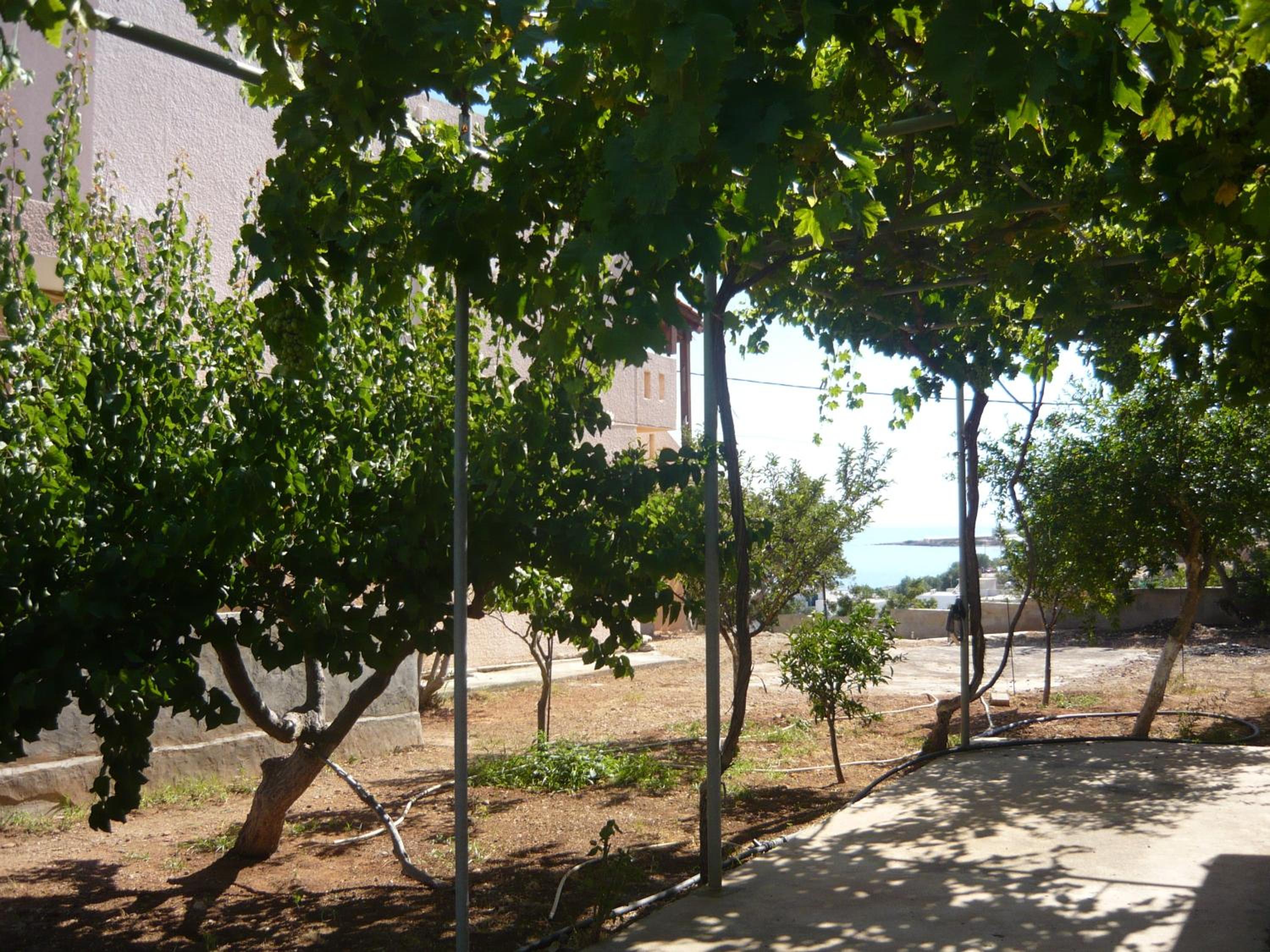 Photo 44