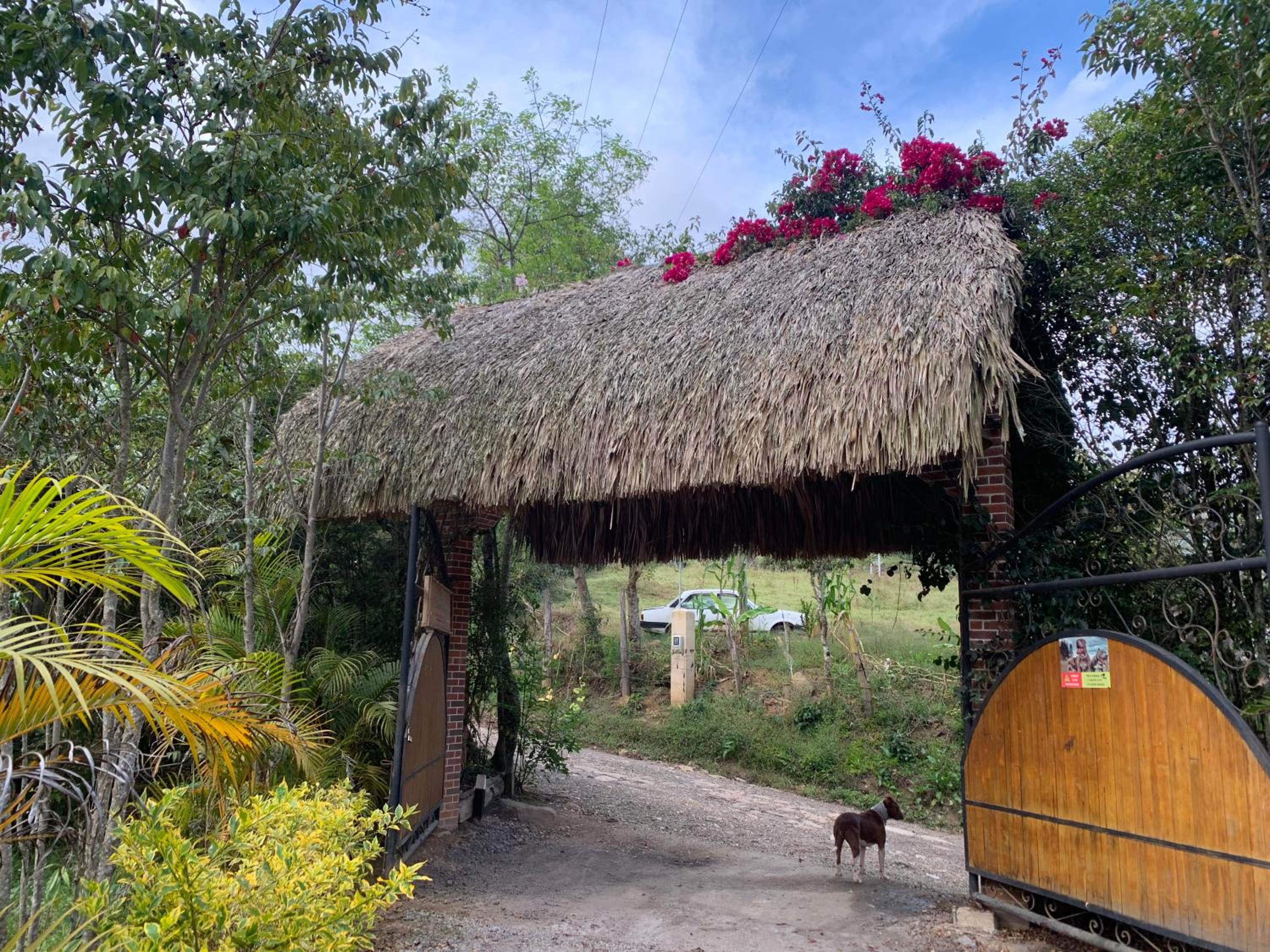 Hotel Campestre mirador CaloPala