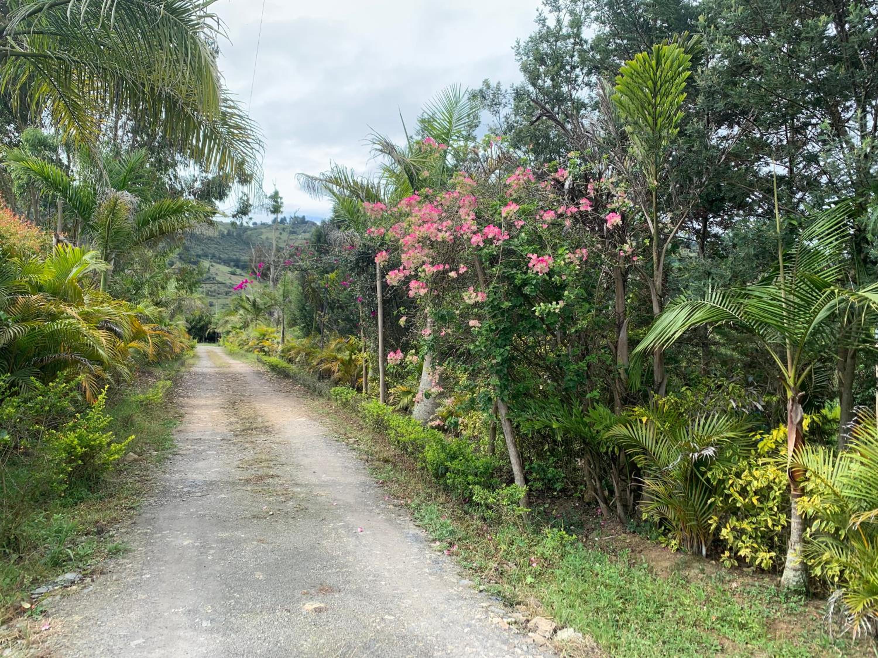 Hotel Campestre mirador CaloPala