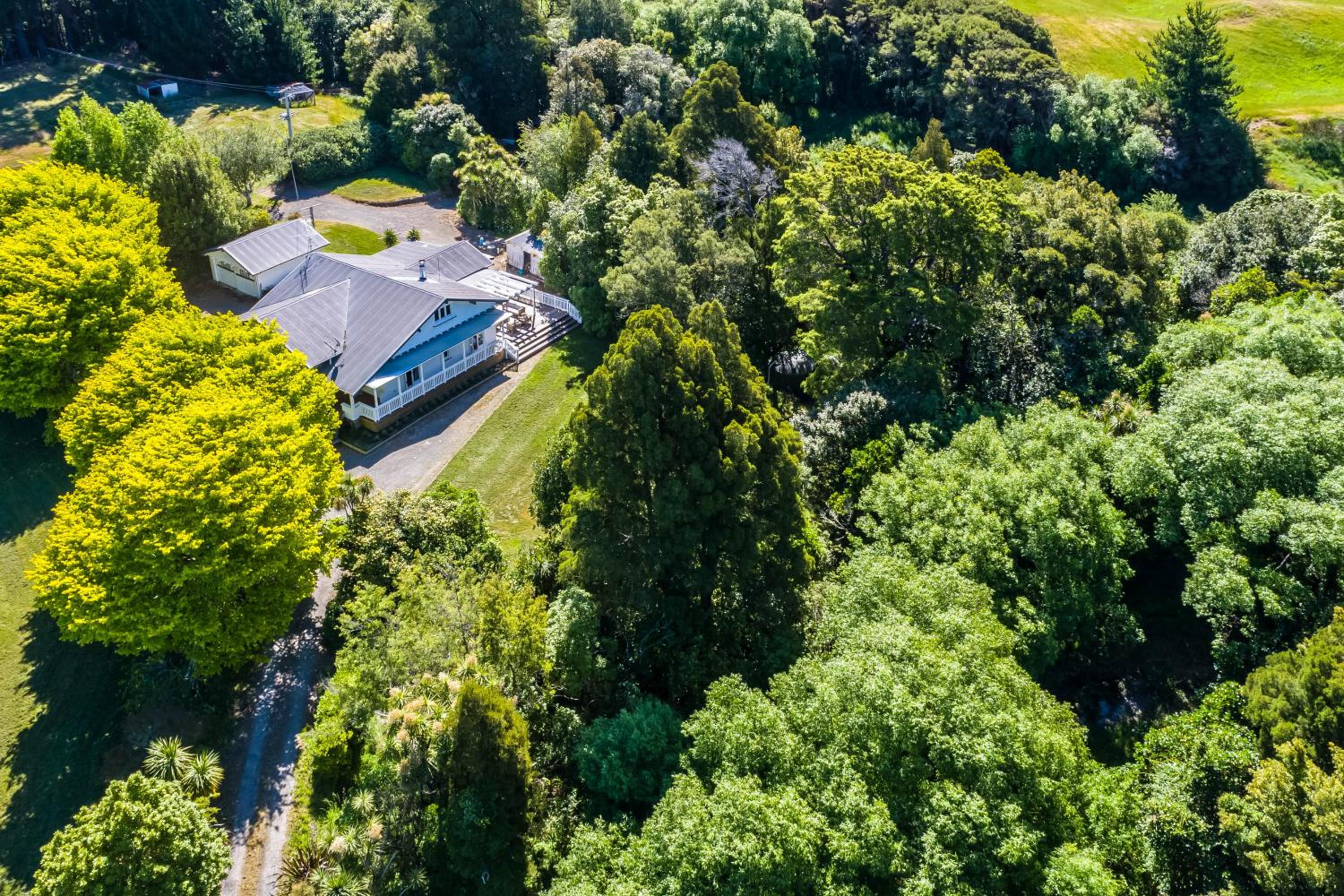 Forest · The Forest House