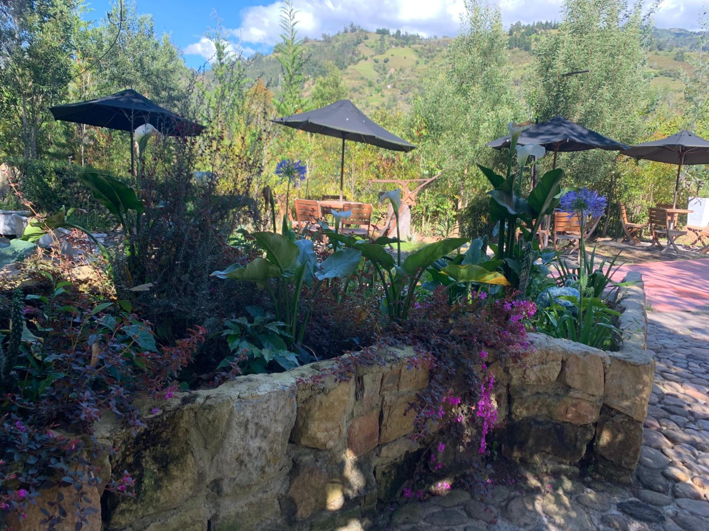 Hotel Campestre mirador CaloPala