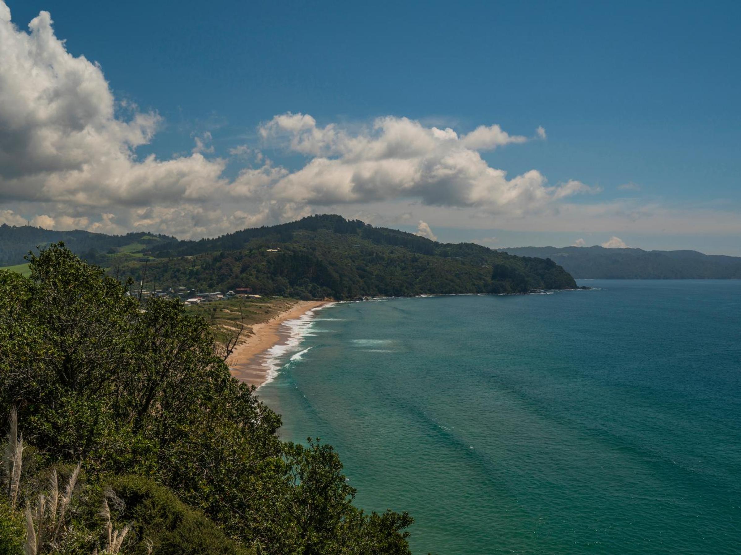 Purepure - Tairua Holiday Home view 5
