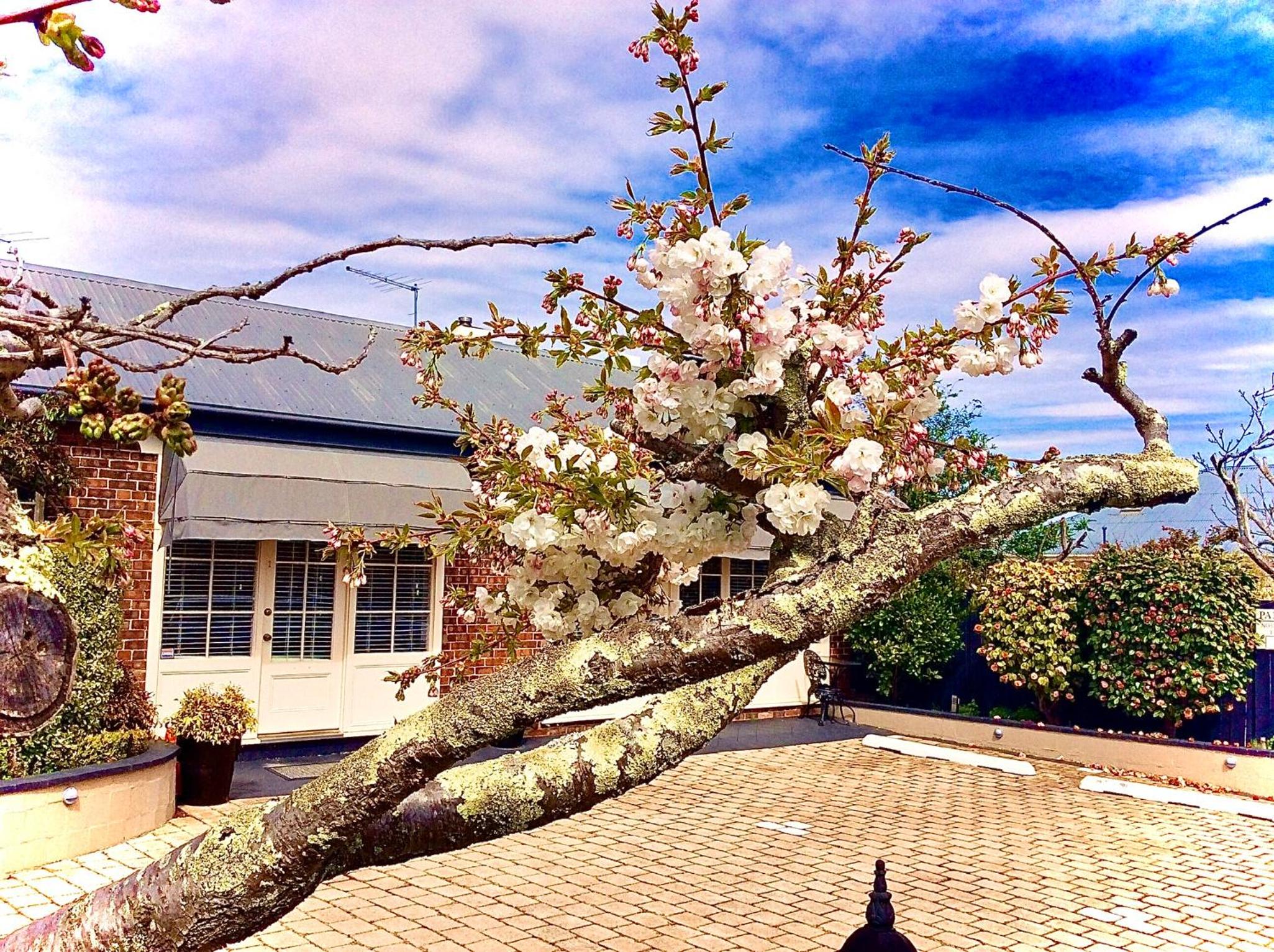 Kurrajong House