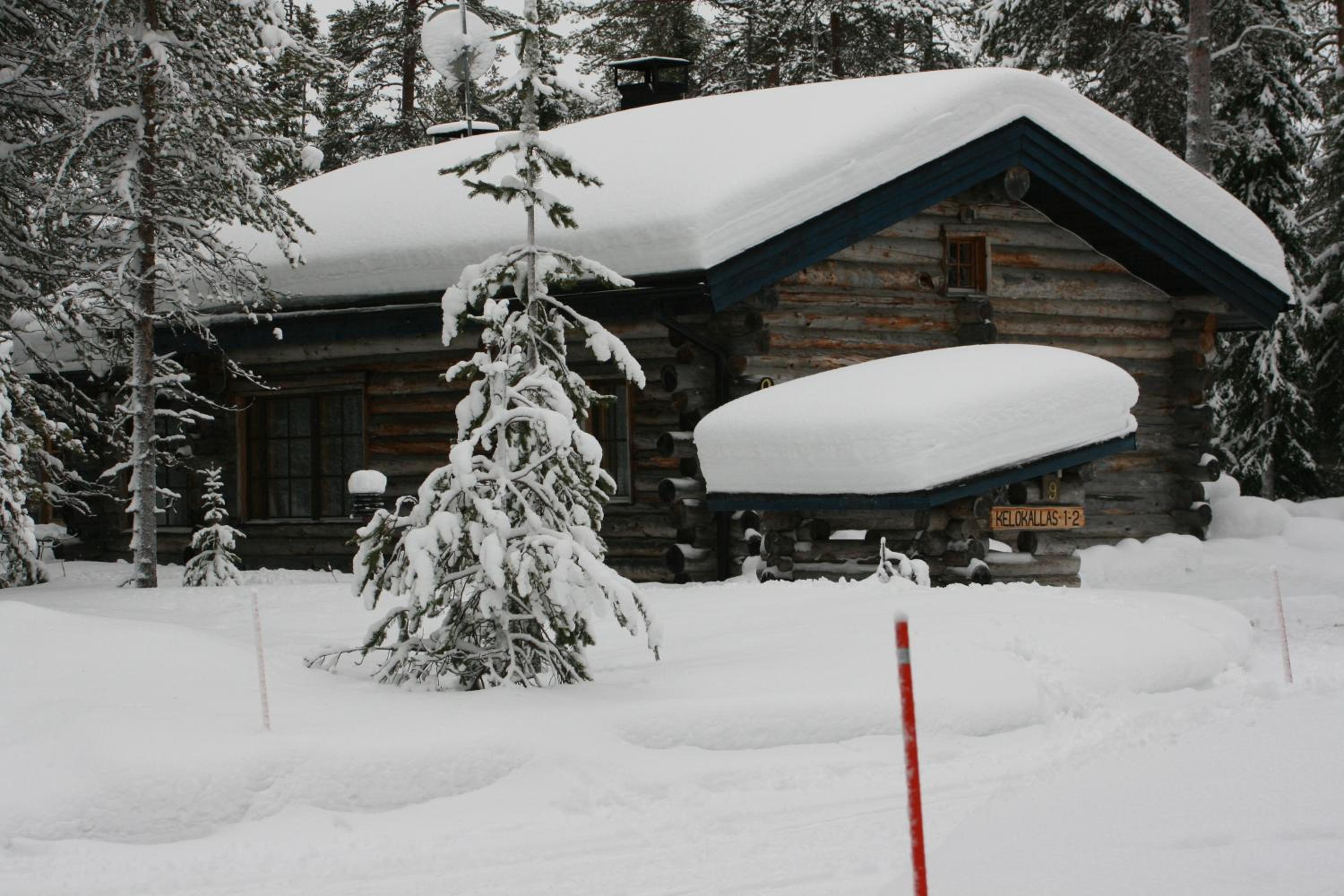 Photo 40