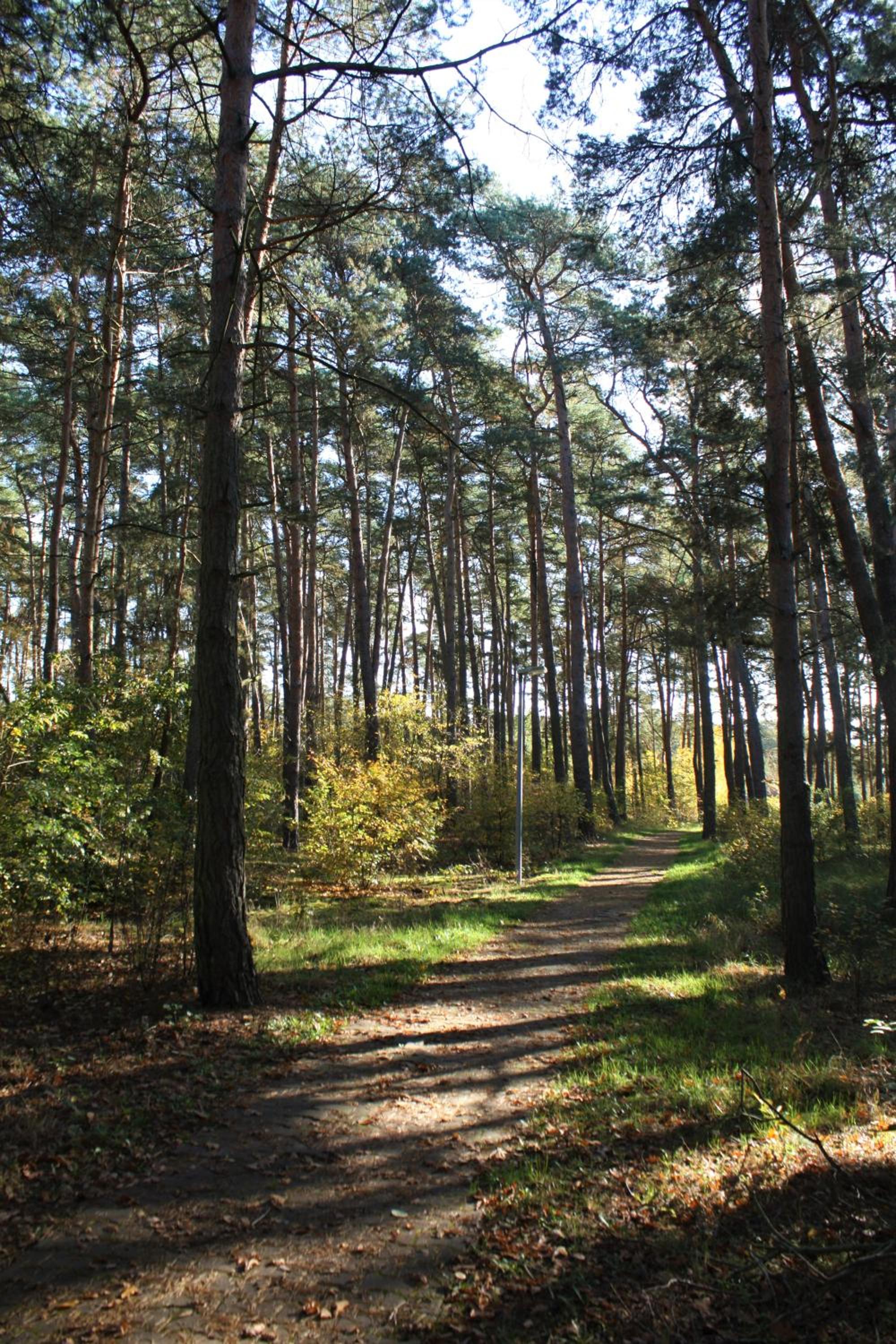 Heide-Camp Colbitz