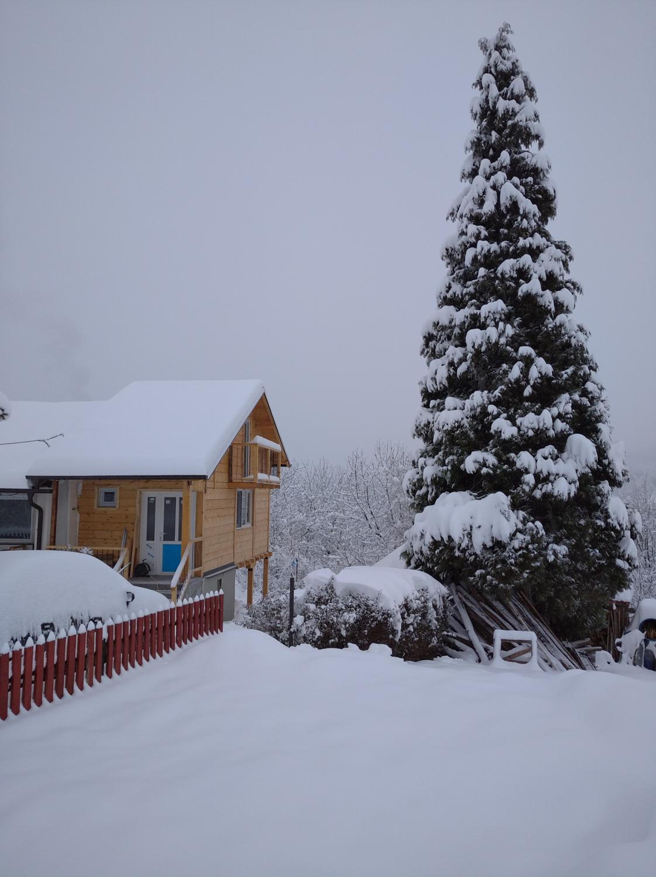 Photo 41