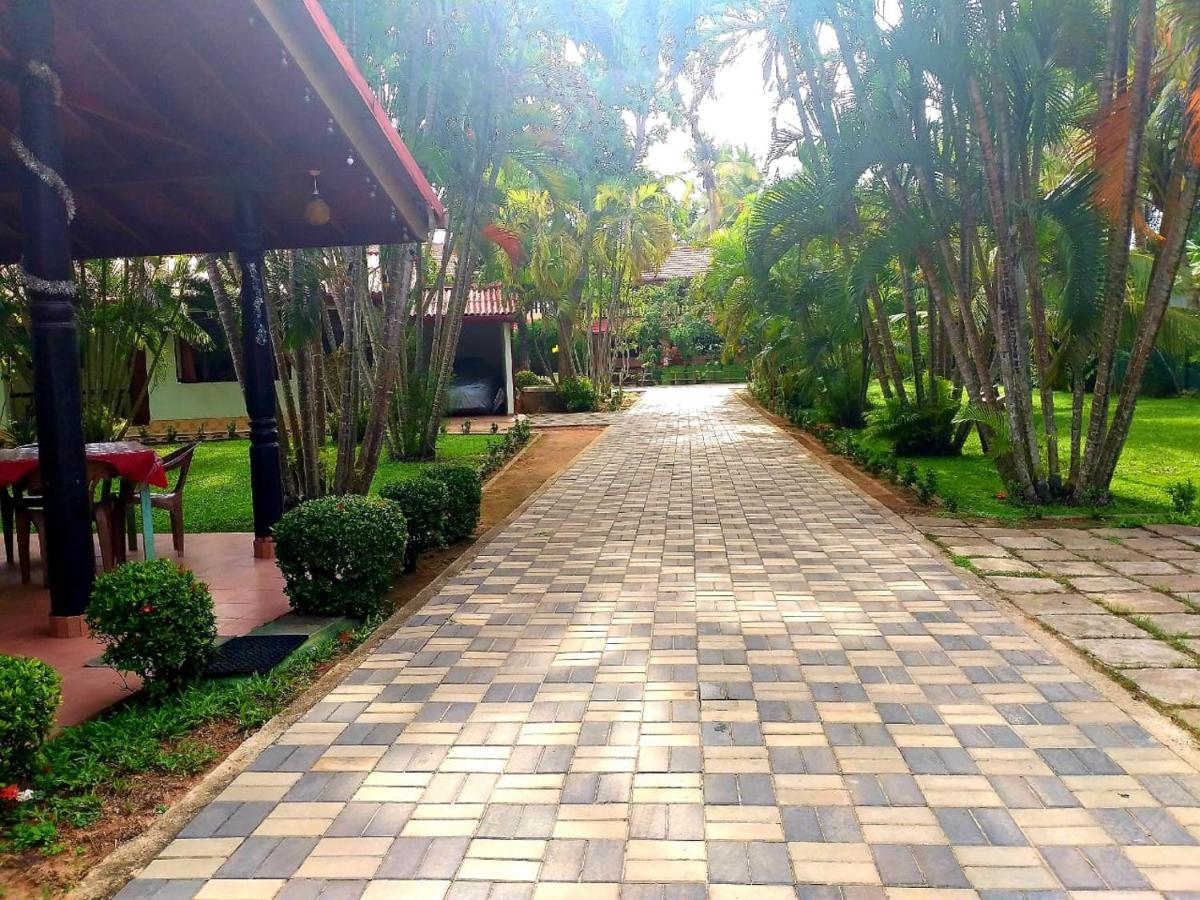 outdoor BBQ area
