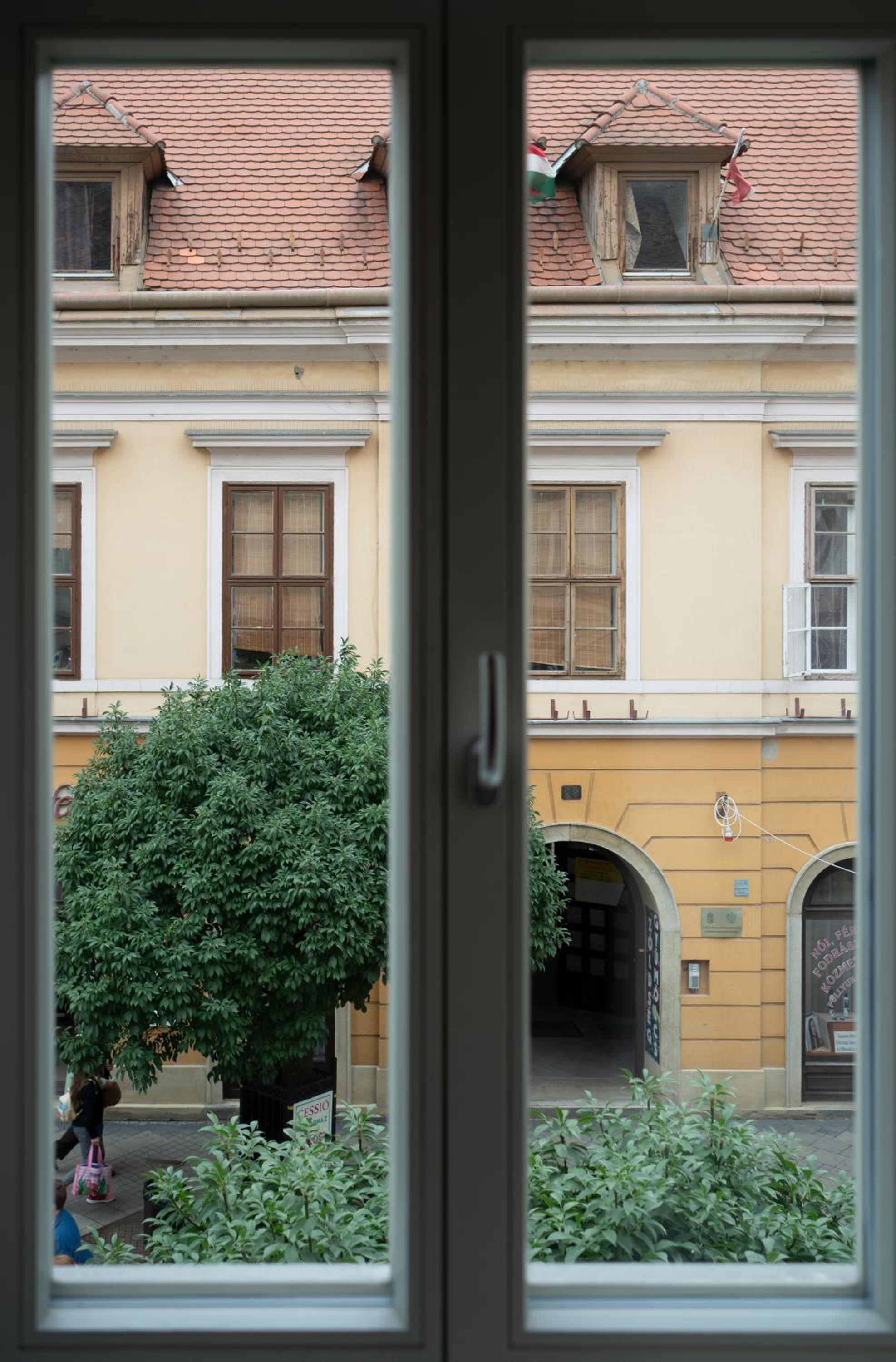 Photo 45