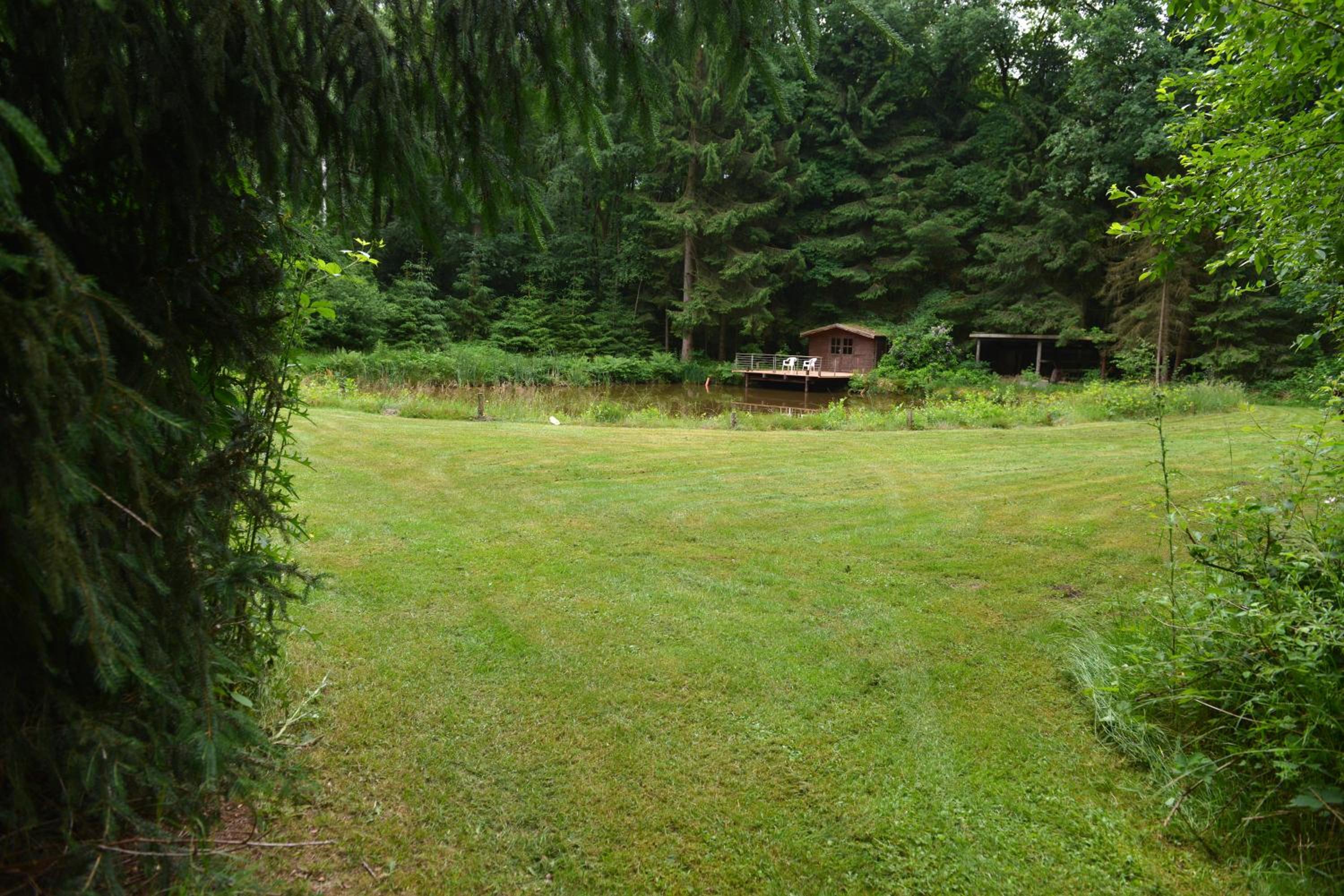 Photo 11