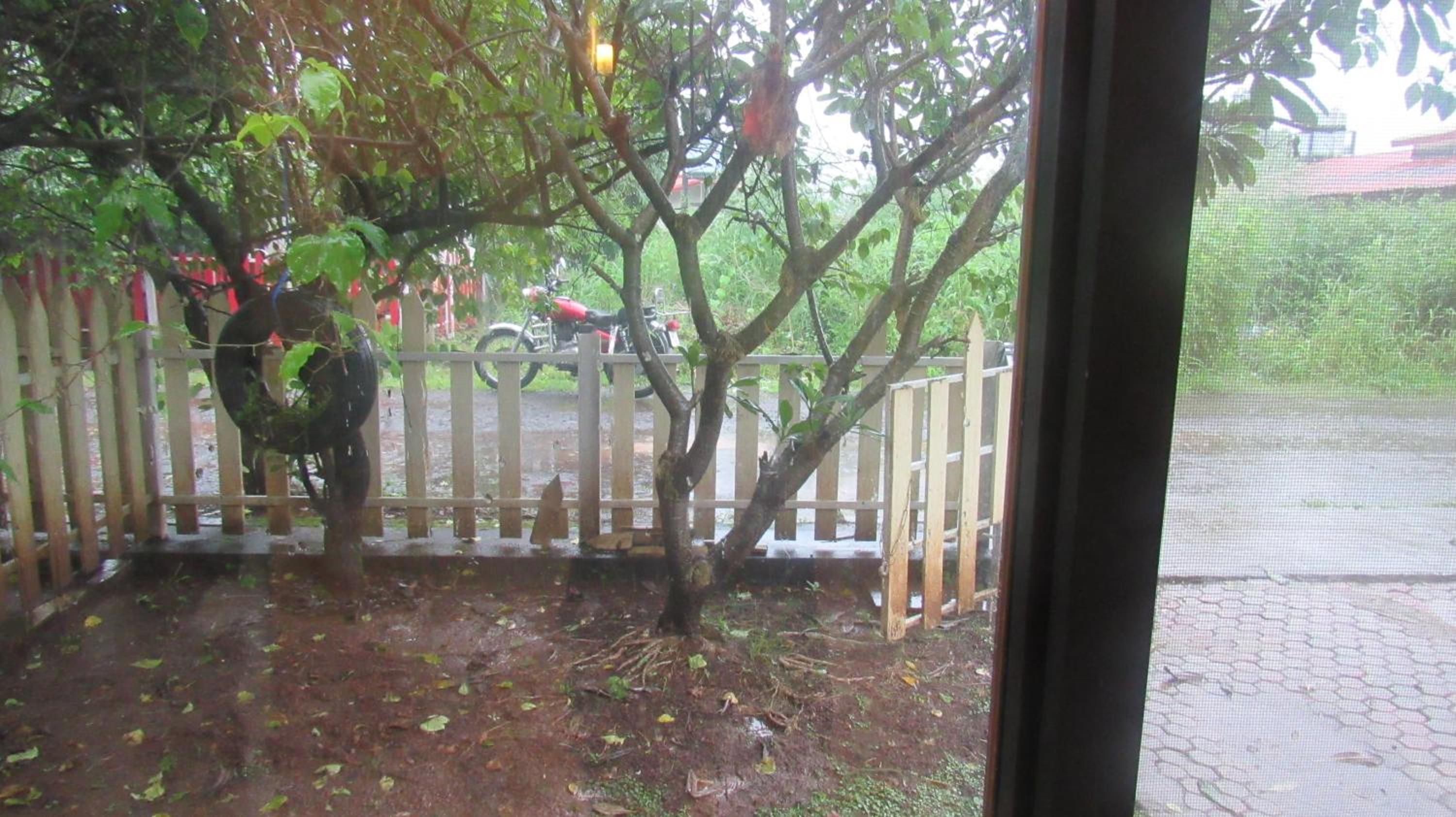 Photo 25