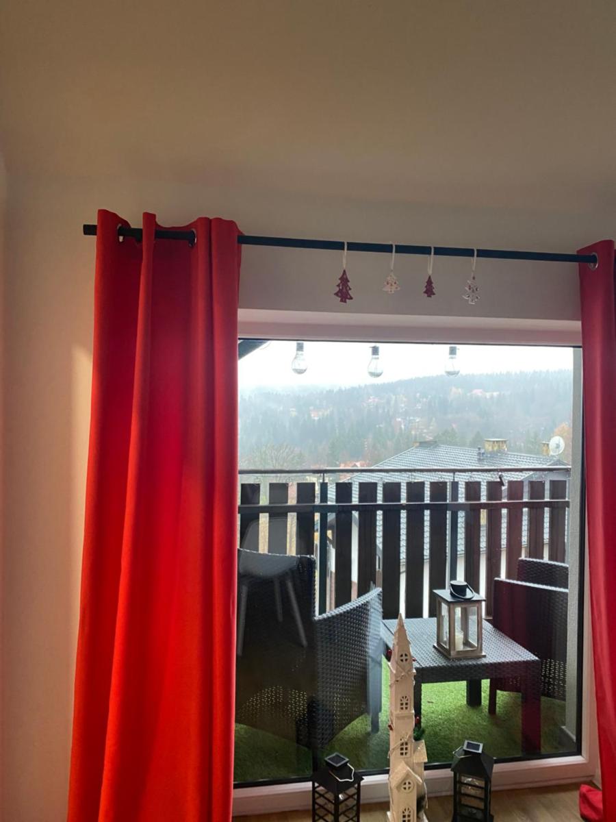 Platynowy view 2
