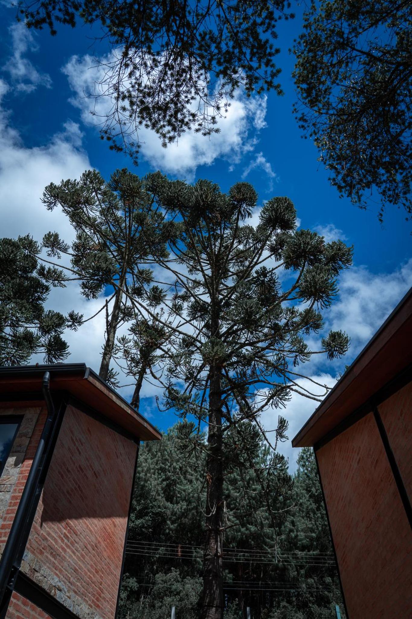 LA PIANTA - Para casais à procura de exclusividade