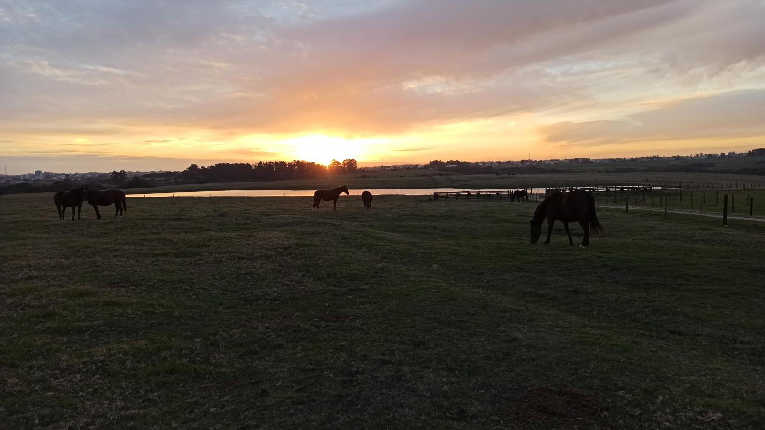 Estalagem Haras Di Cellius