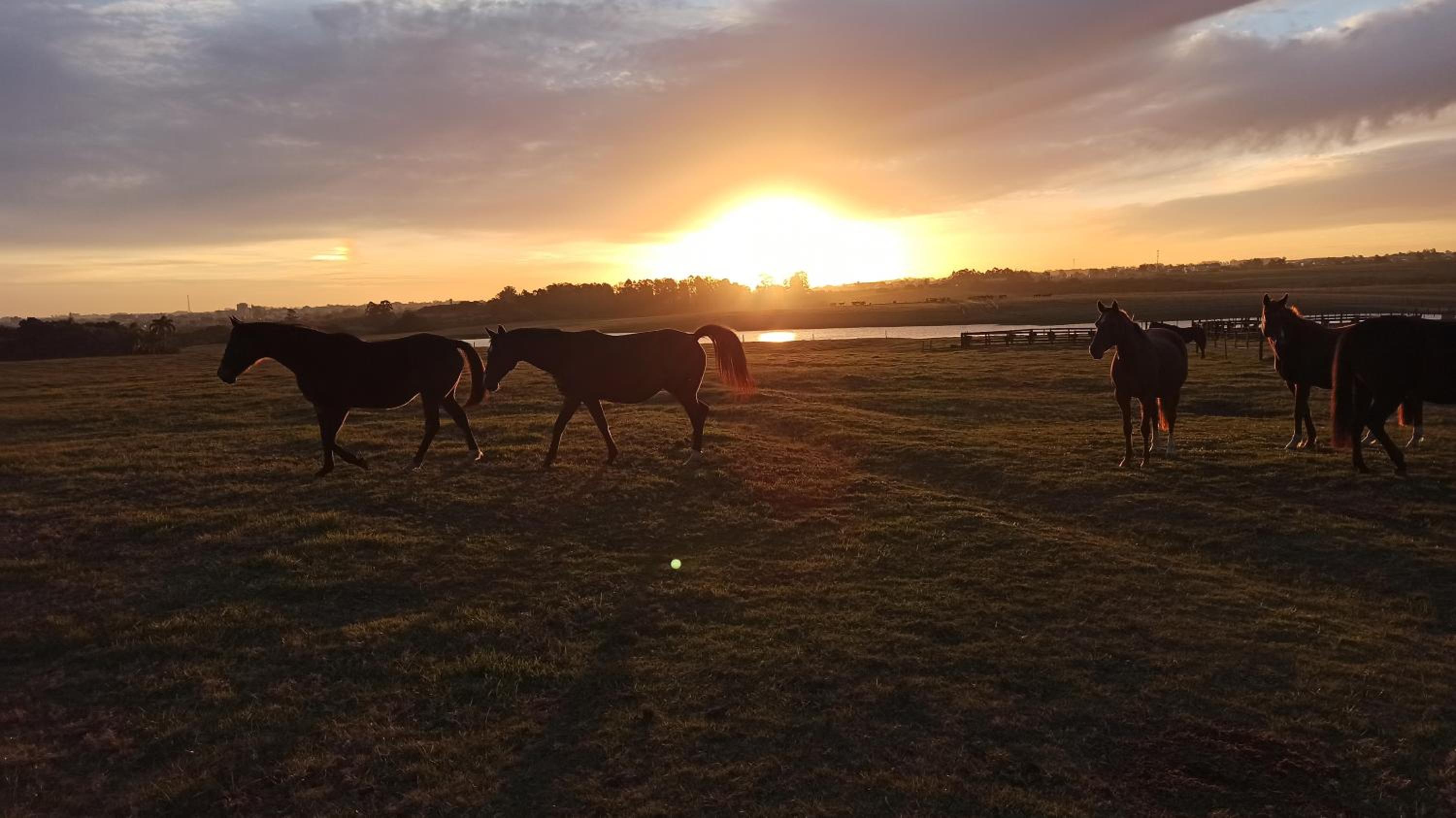 Estalagem Haras Di Cellius
