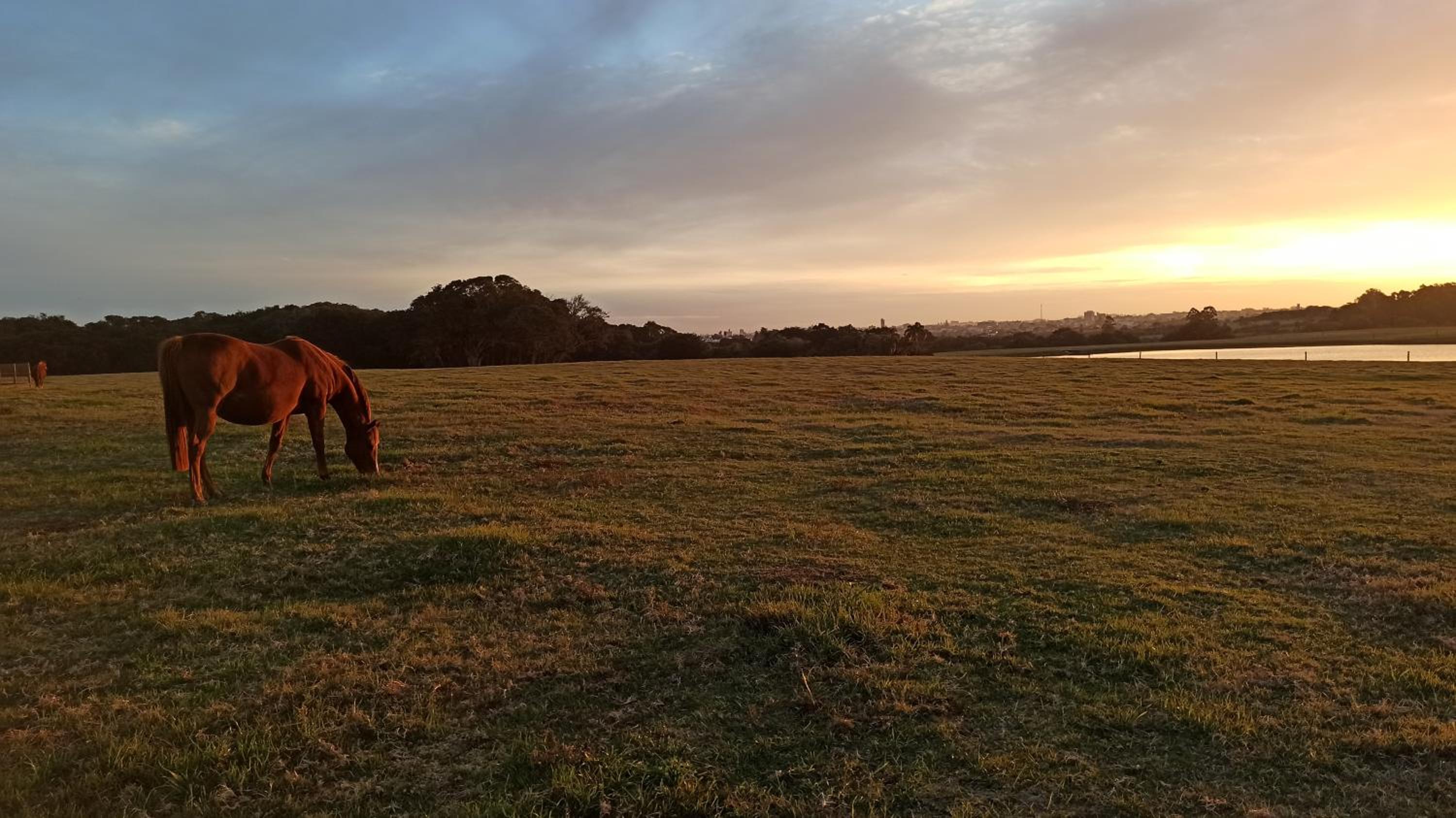 Estalagem Haras Di Cellius