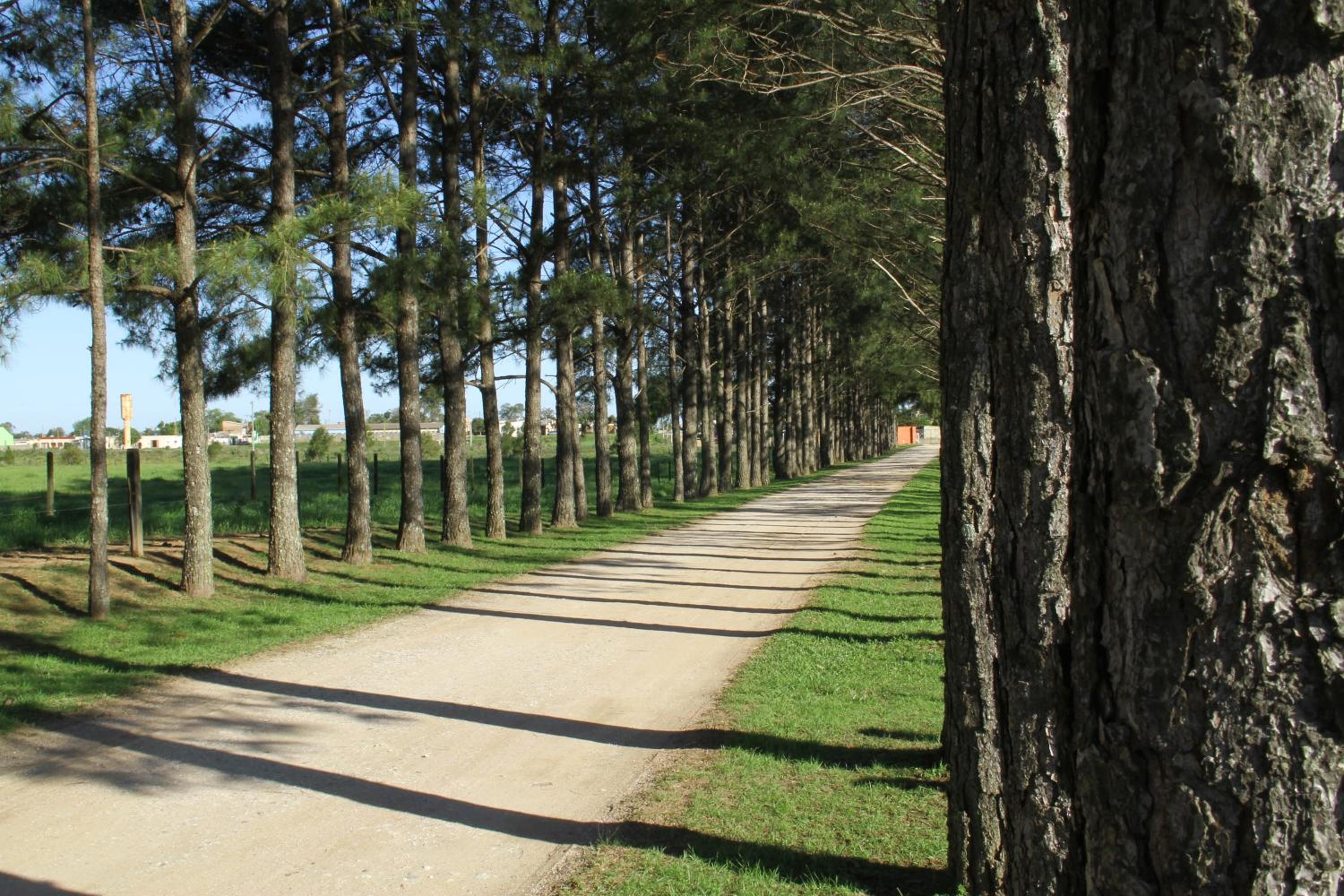 Estalagem Haras Di Cellius