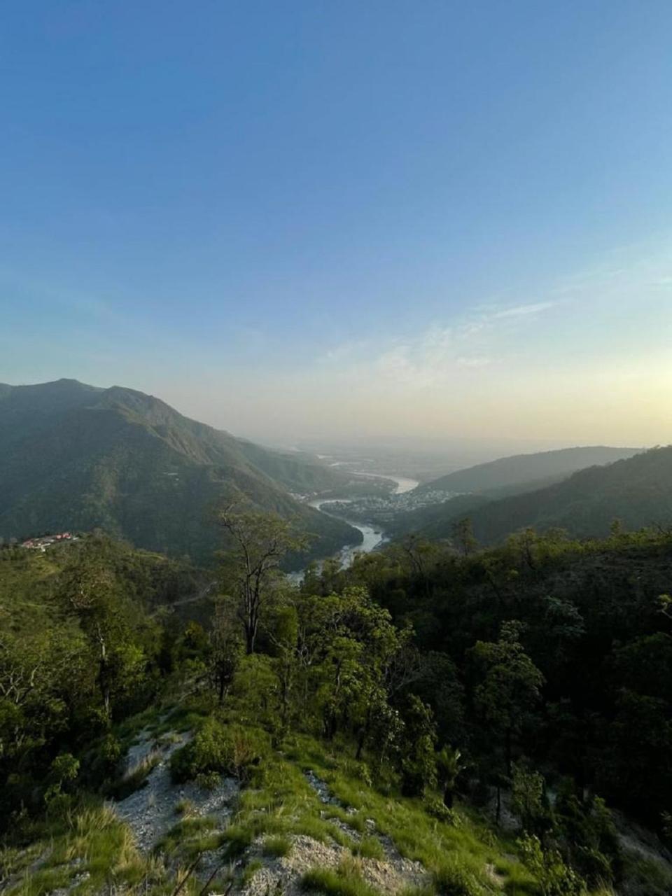 Photo 45
