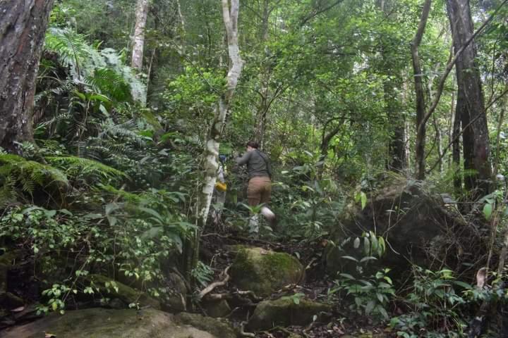 Photo 9