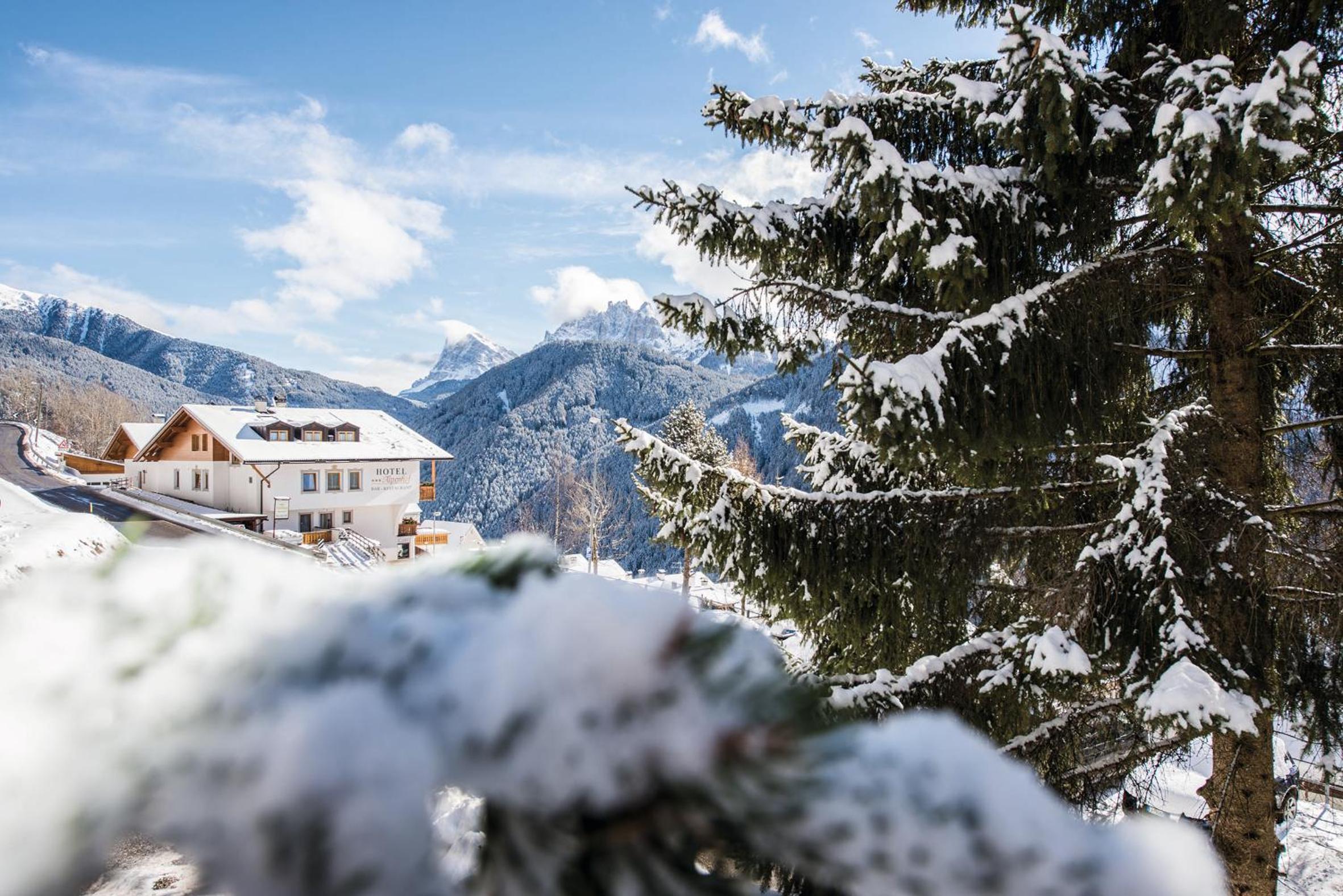 MOUNTAIN RESIDENCE ALPENHOF - company Hotel Alpenhof KG sas der Gasser Renate