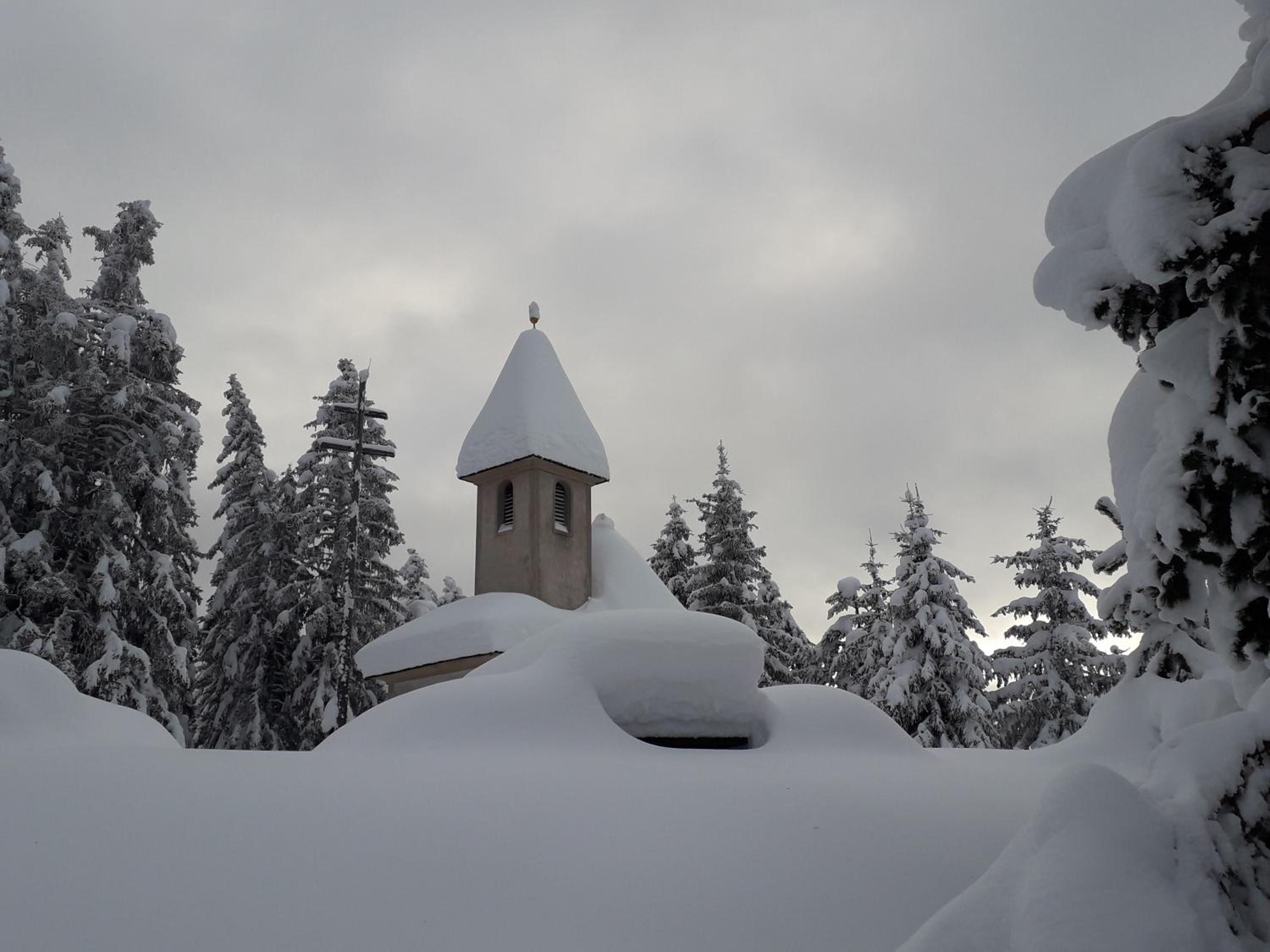 MOUNTAIN RESIDENCE ALPENHOF - company Hotel Alpenhof KG sas der Gasser Renate