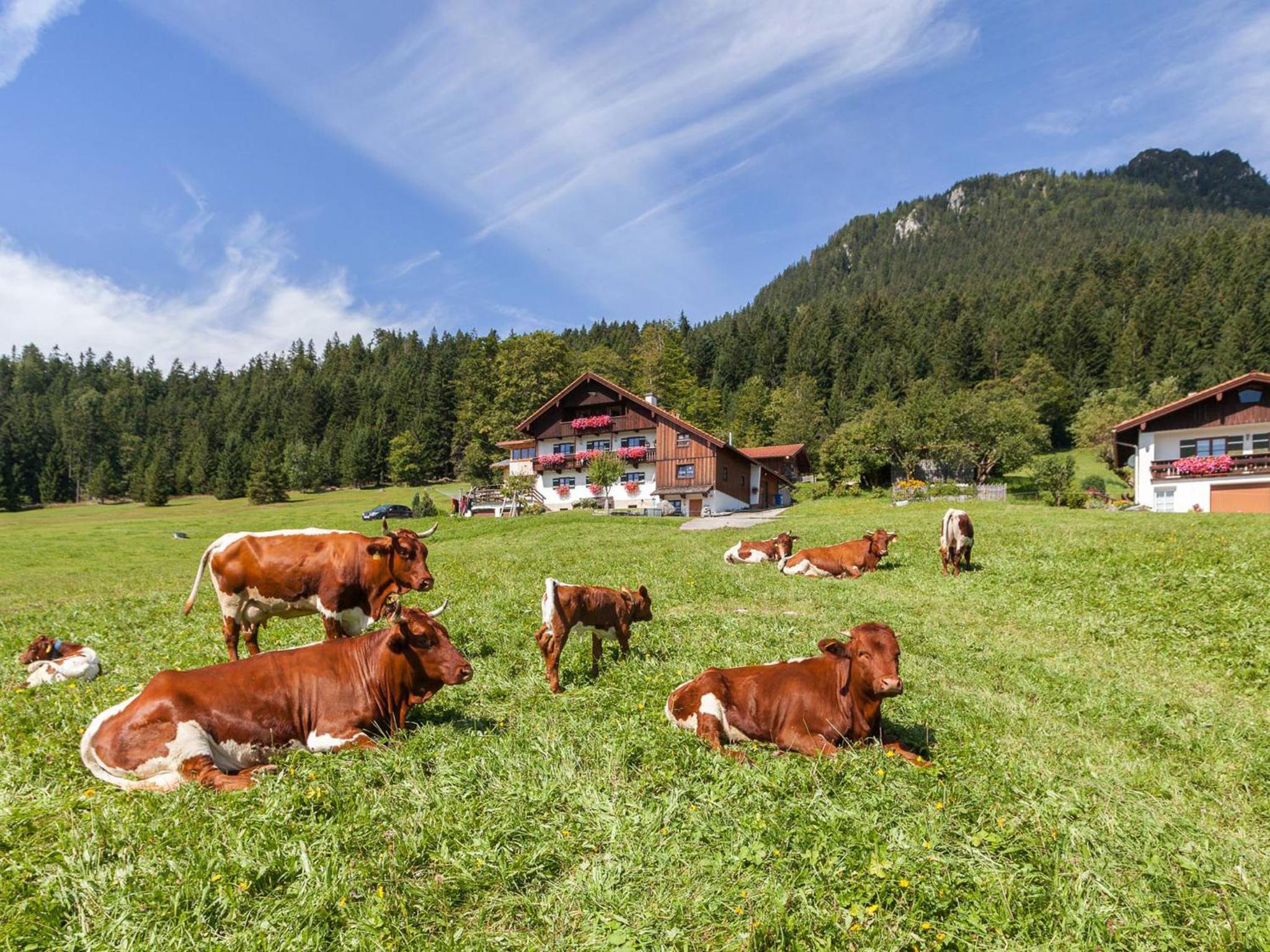 Ferienhaus Lehen