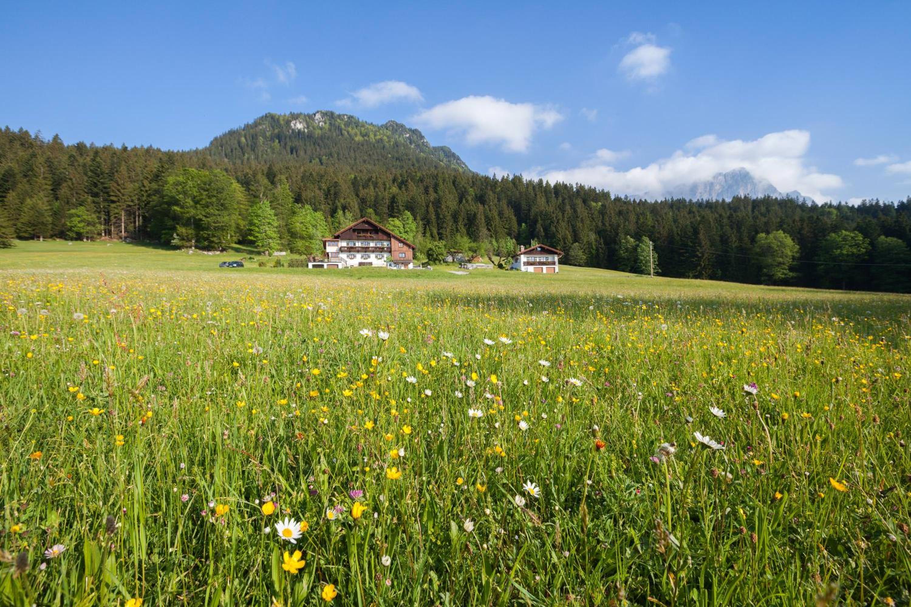 Ferienhaus Lehen
