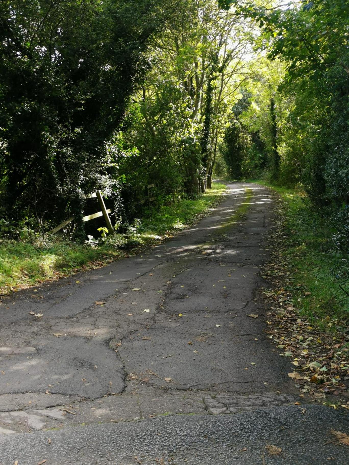 Photo 31