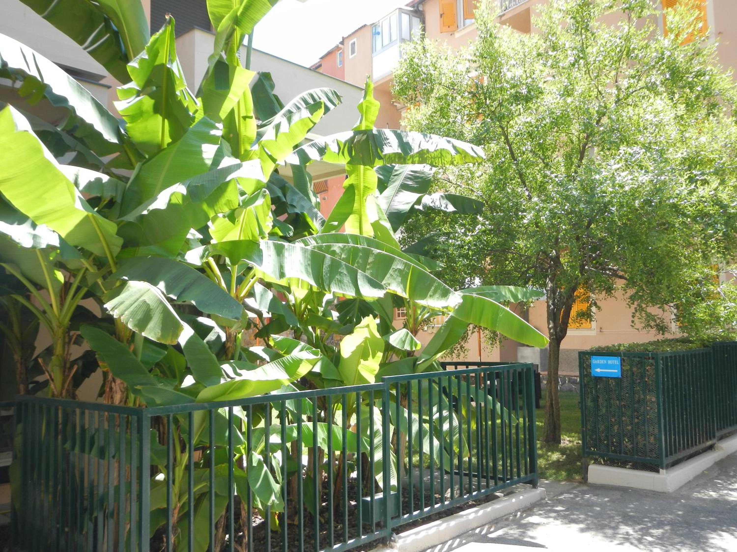 Hotel Miriam, photo 36