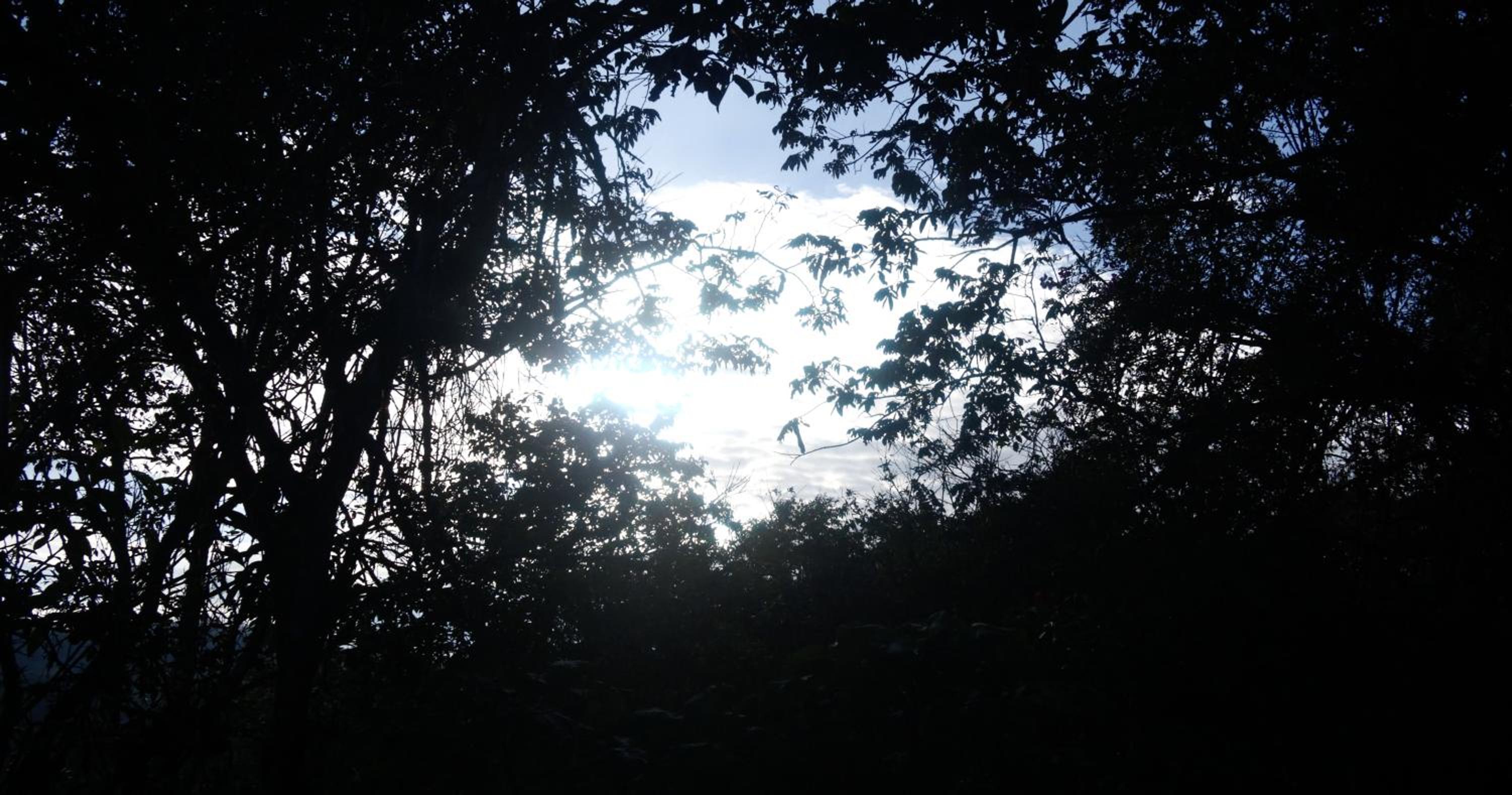 Photo 47