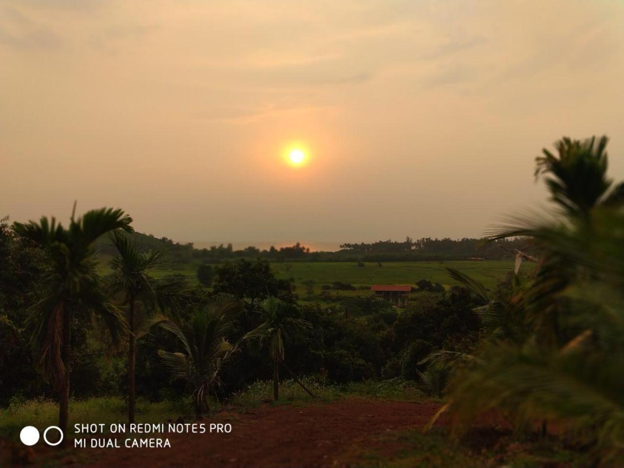 Photo 46