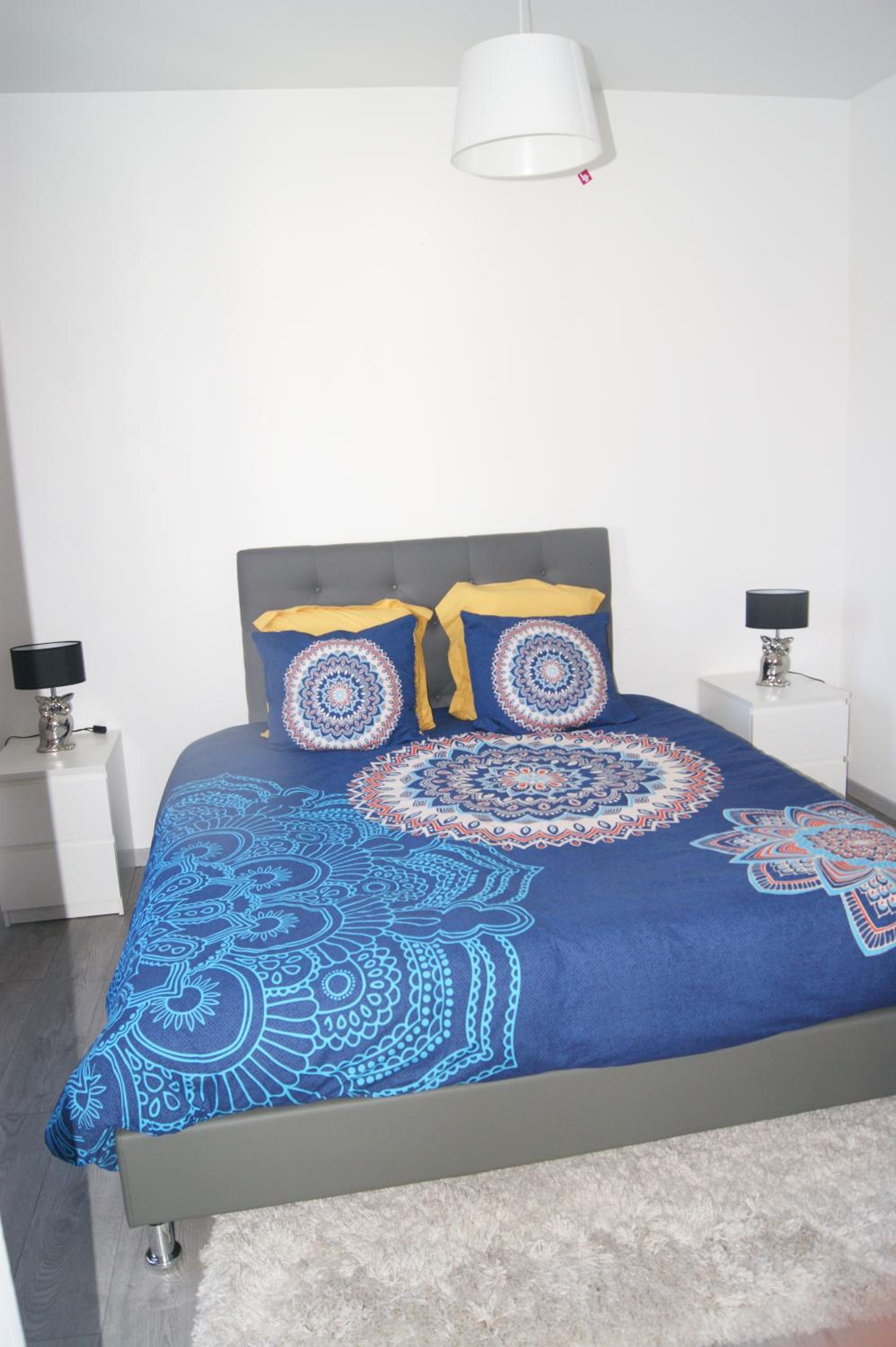 appartement individuelle refais a neuf,ds maison de maître,6 couchages dont un lit kingsize,cuisine avec lave vaisselle,rue privative pour se garer, access