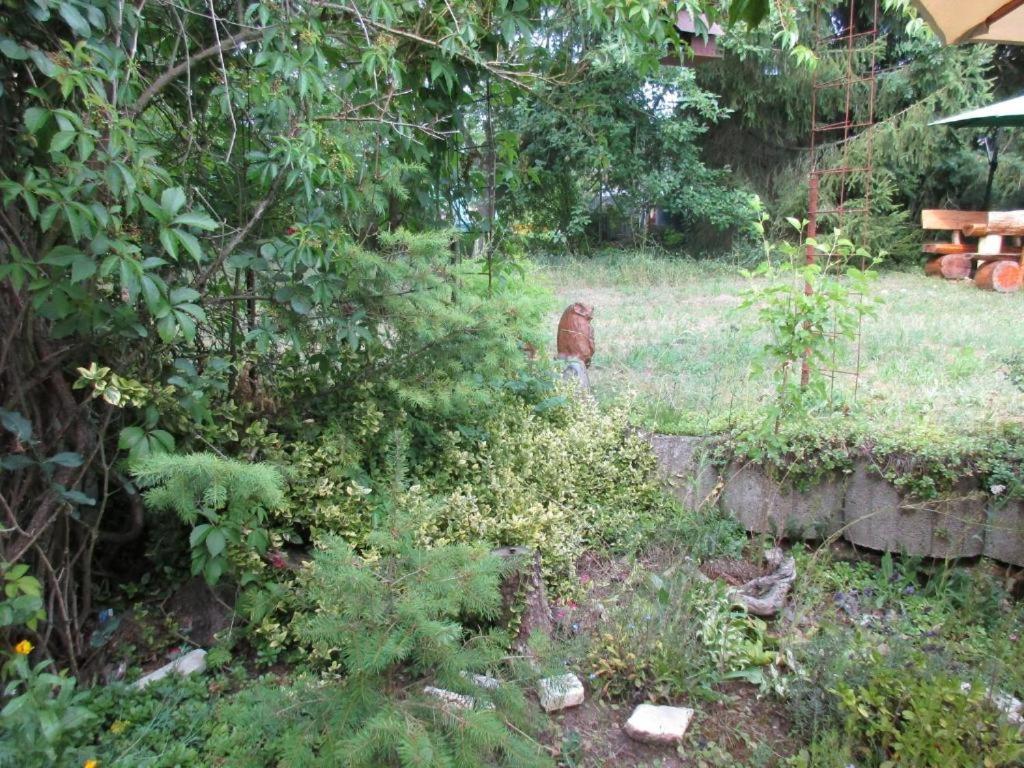 Photo 56