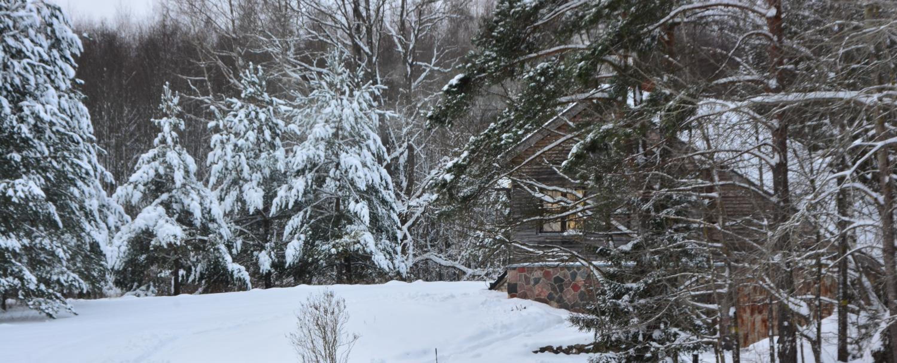 The Lake House "Ausatas" view 5