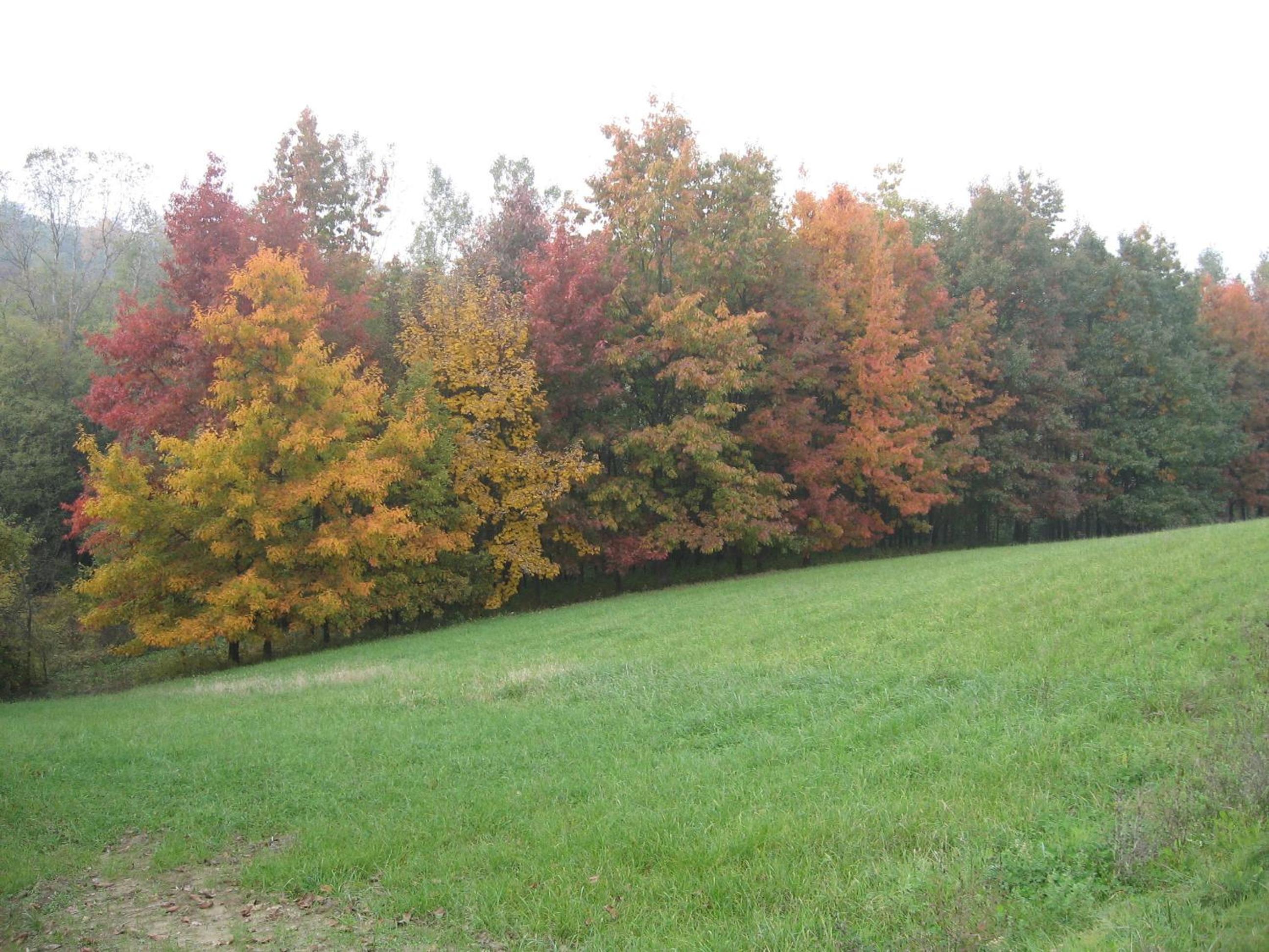 Agriturismo Cascina Tollu