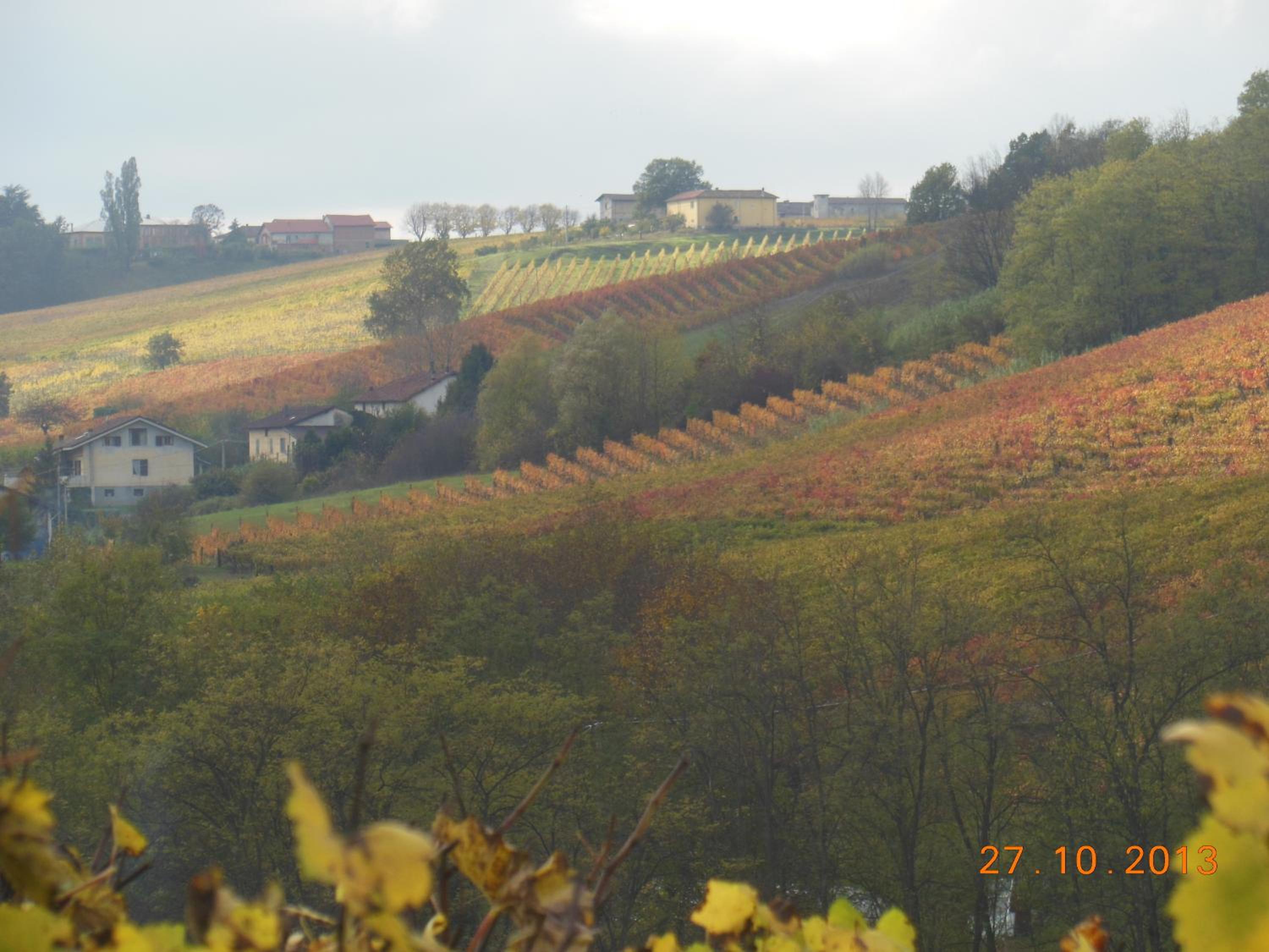Agriturismo Cascina Tollu