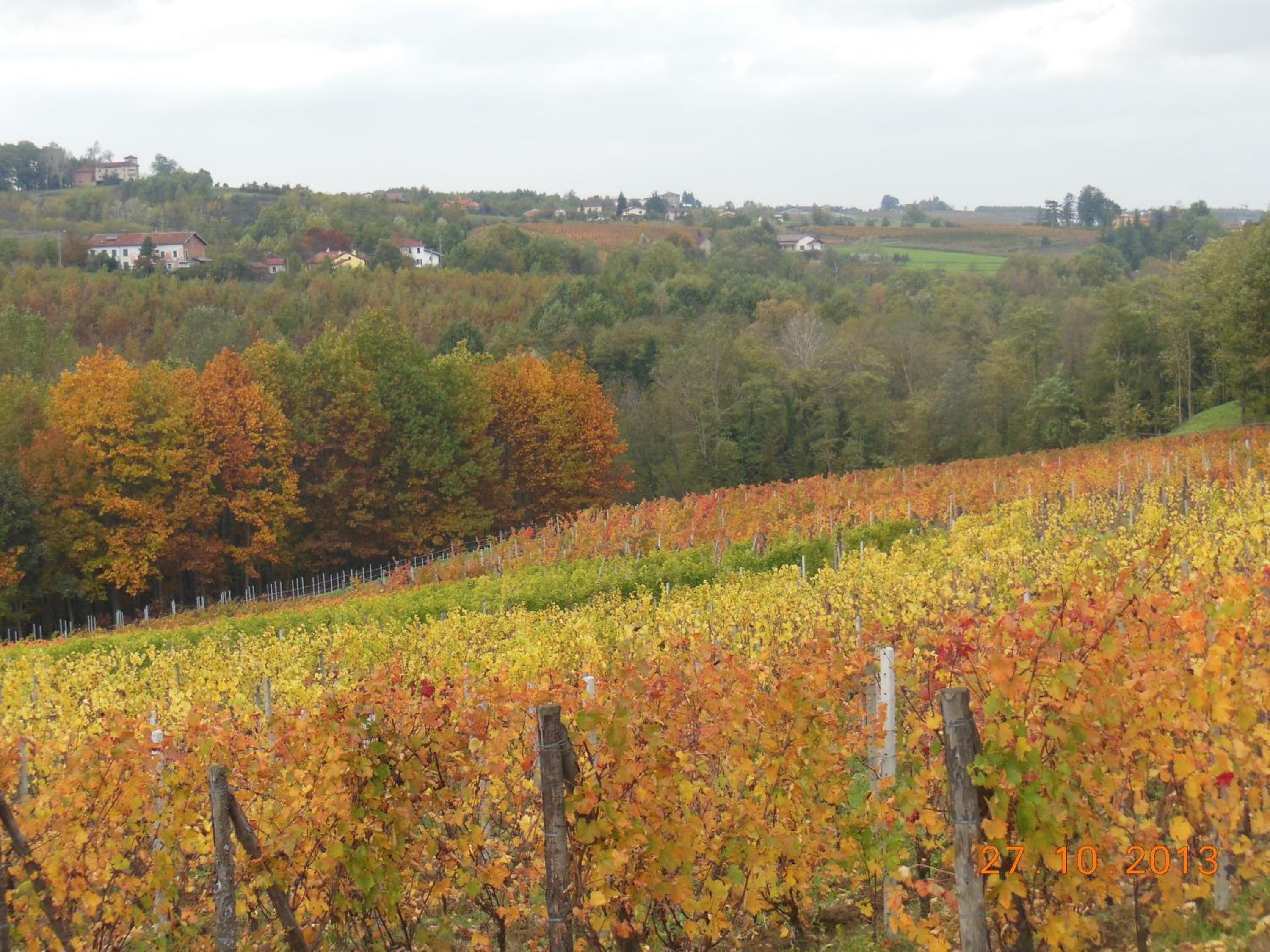 Agriturismo Cascina Tollu