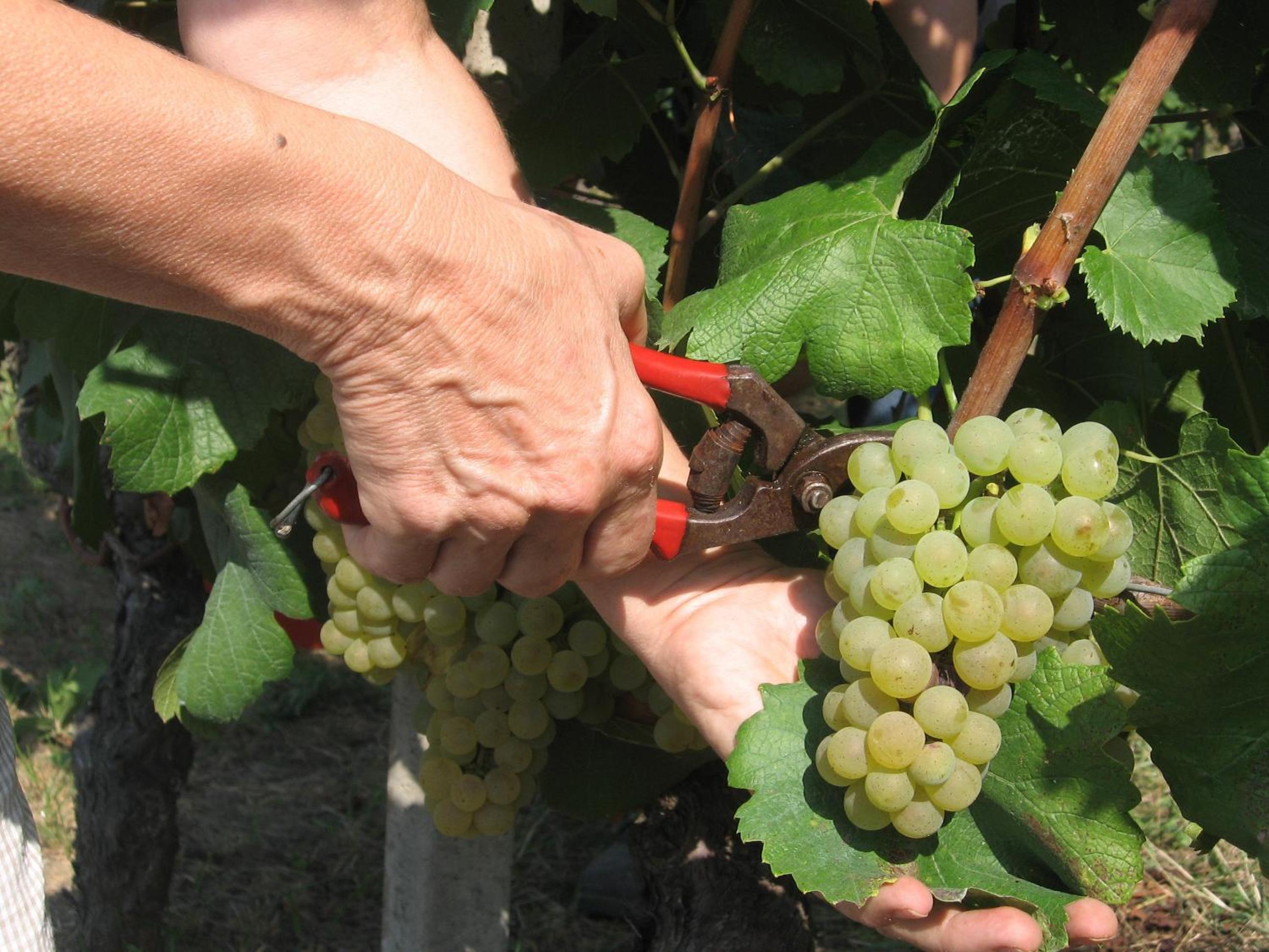 Agriturismo Cascina Tollu