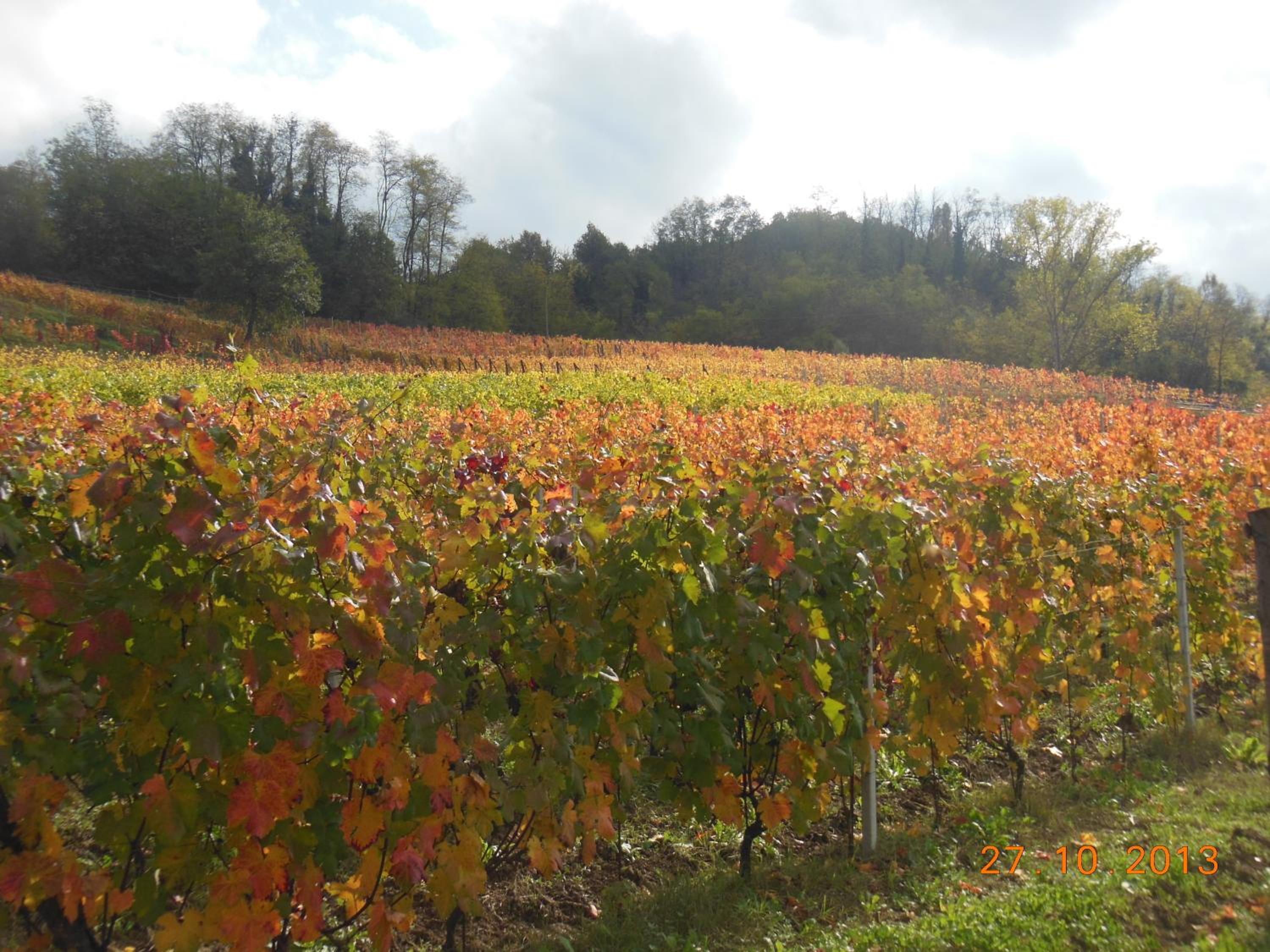 Agriturismo Cascina Tollu