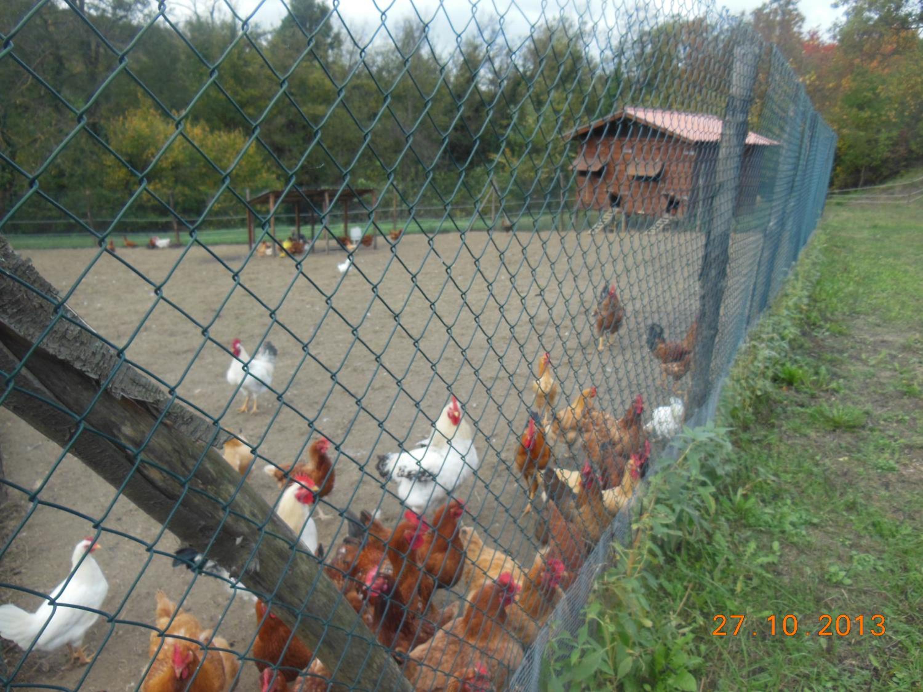 Agriturismo Cascina Tollu