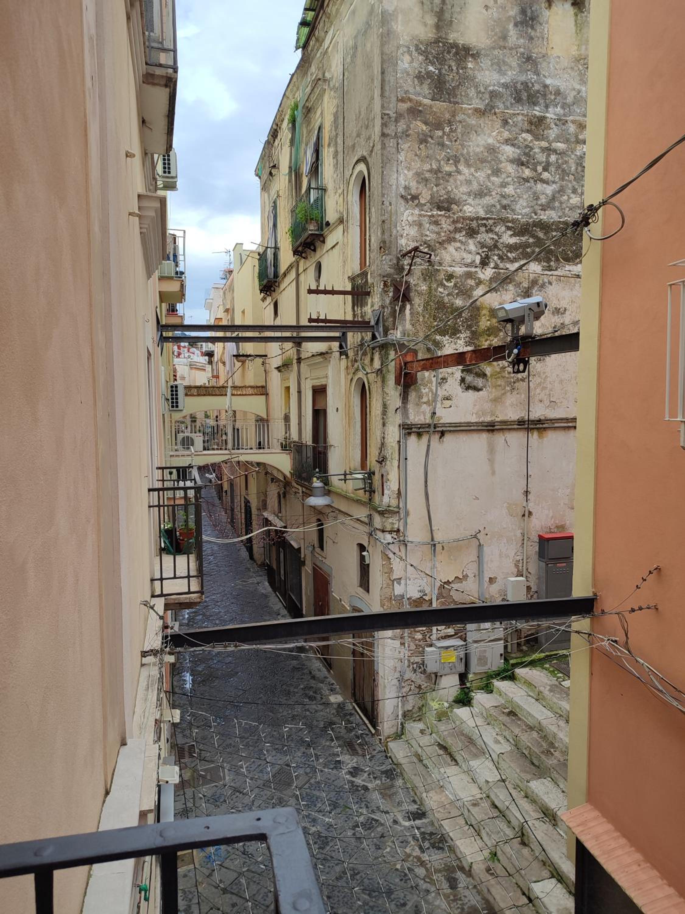 L'OLIVA CONTESA - la BIANCA photo 5