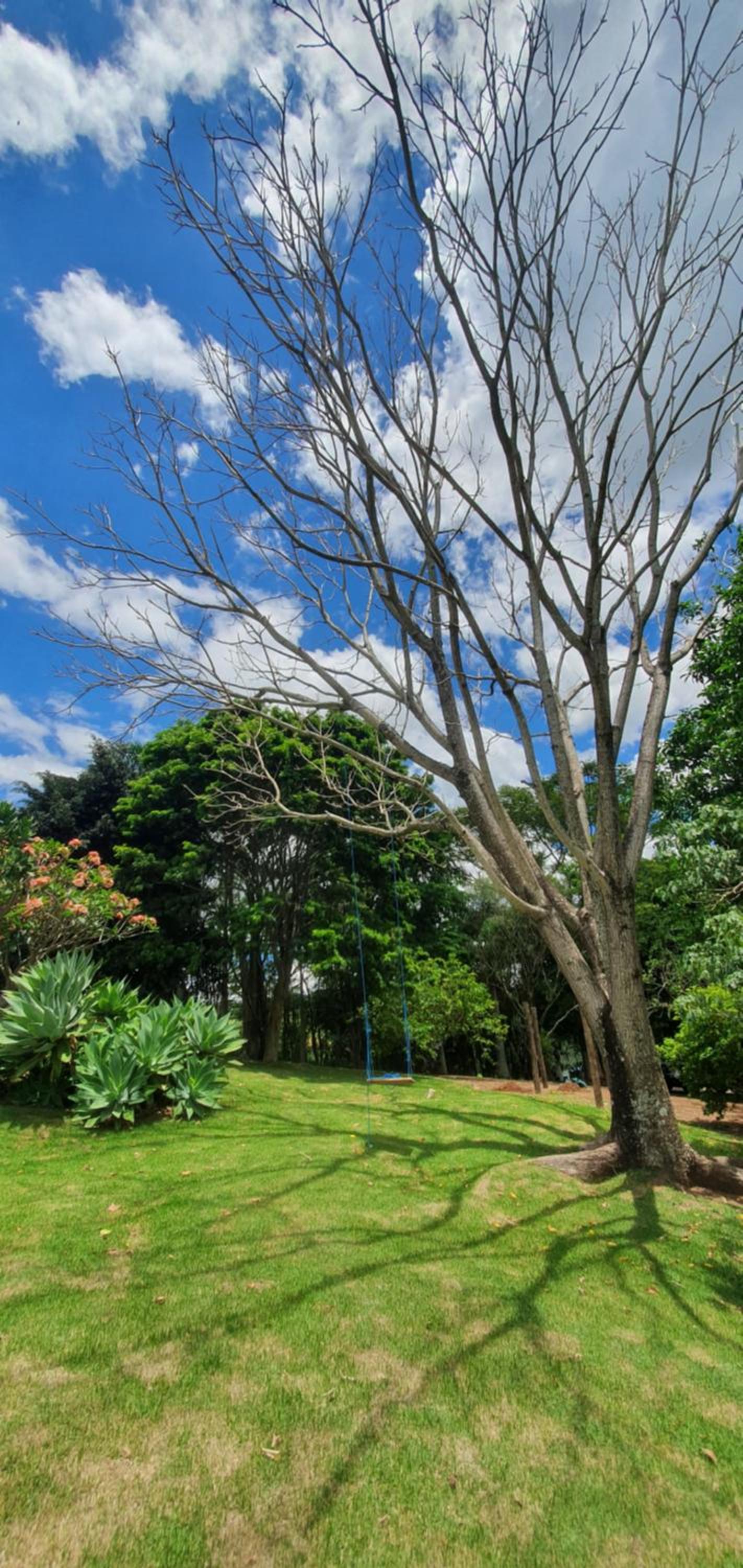 Ellementares Guest House