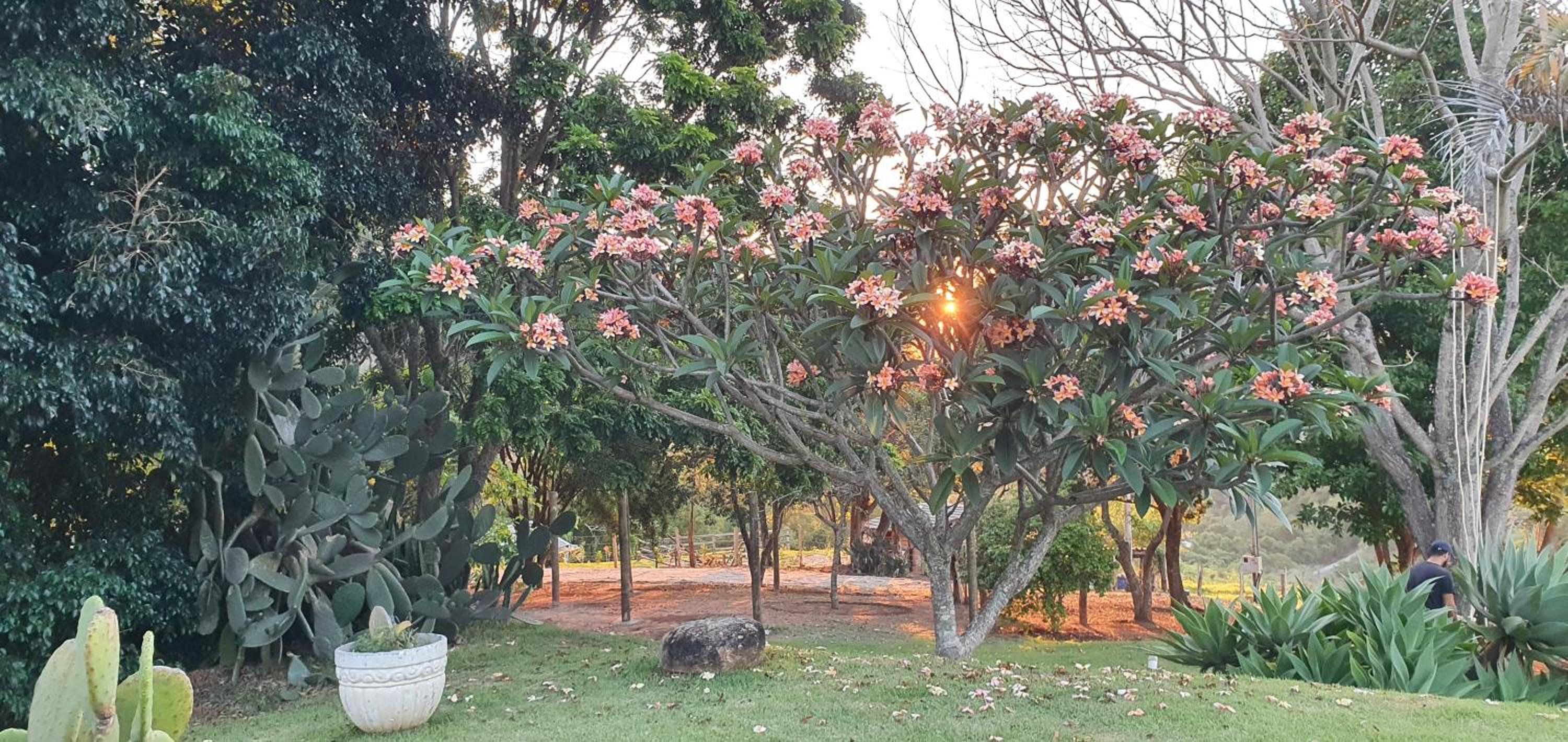 Ellementares Guest House