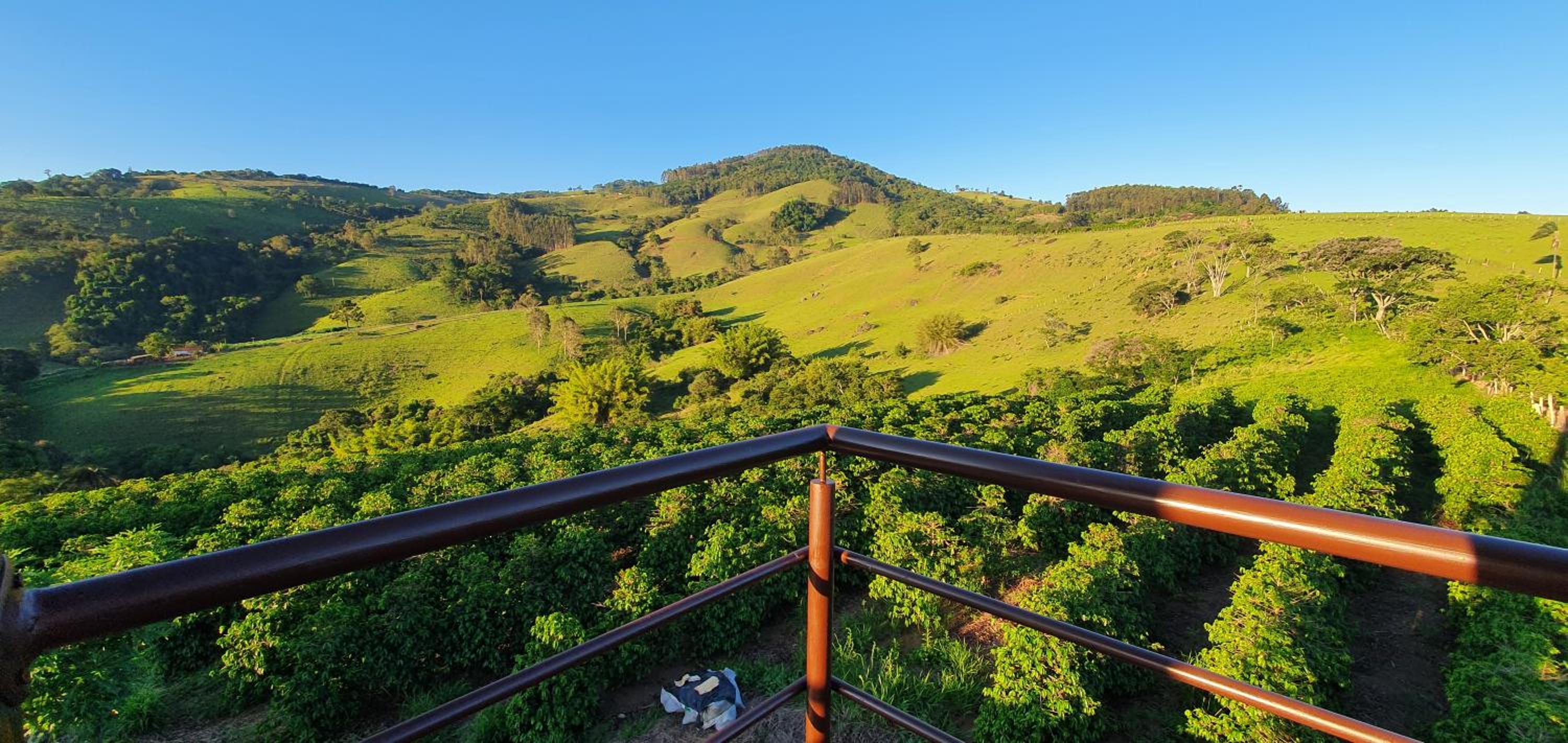 Ellementares Guest House