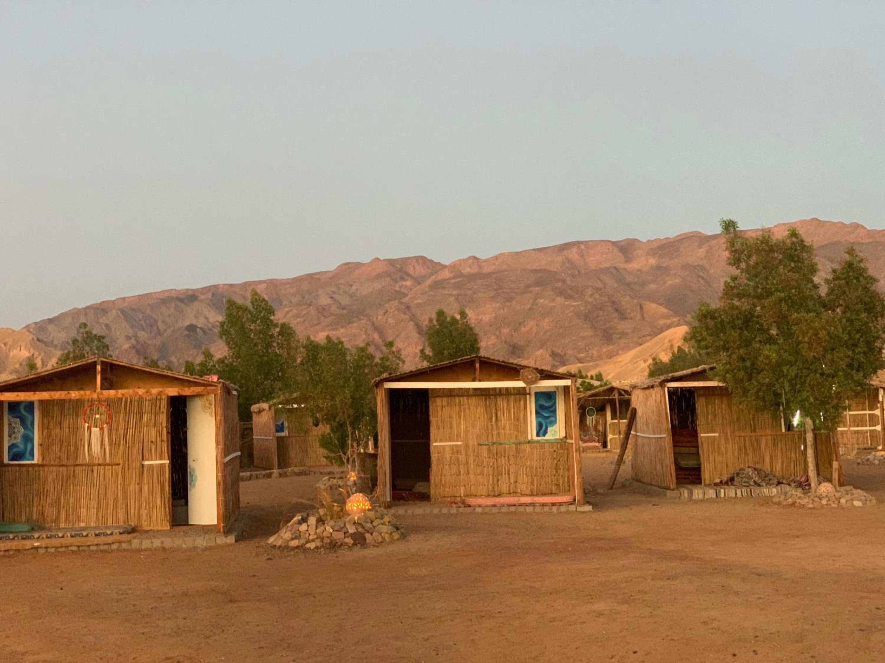 Alwaha Camp